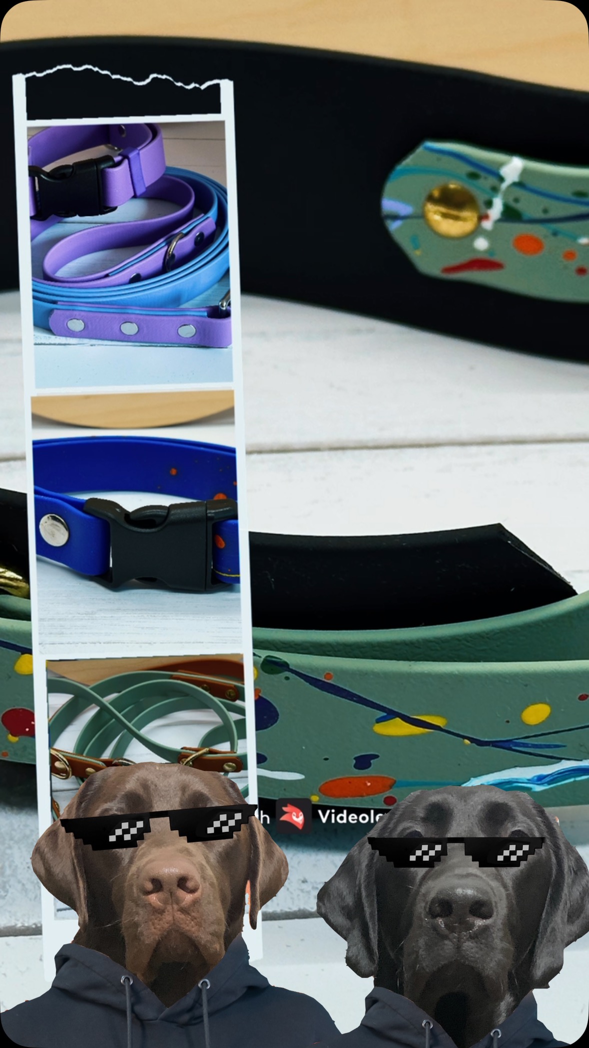 #buylocalbc #yvrdogs #yvrdogsofinstagram #biothane #bcdogs #dogsofcanada #buylangleybc