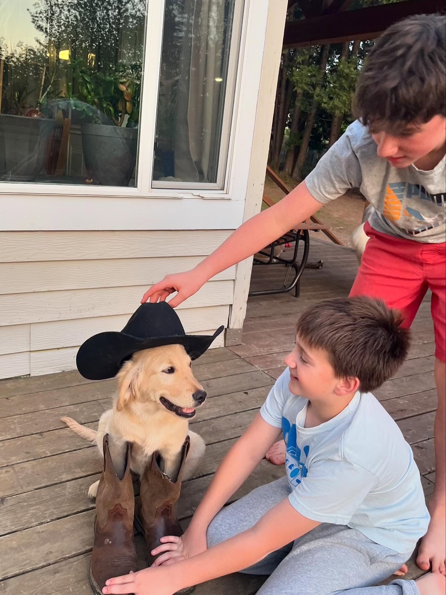 ASPEN 🩷 15 weeks old! Bama and Winston make beautiful puppies!