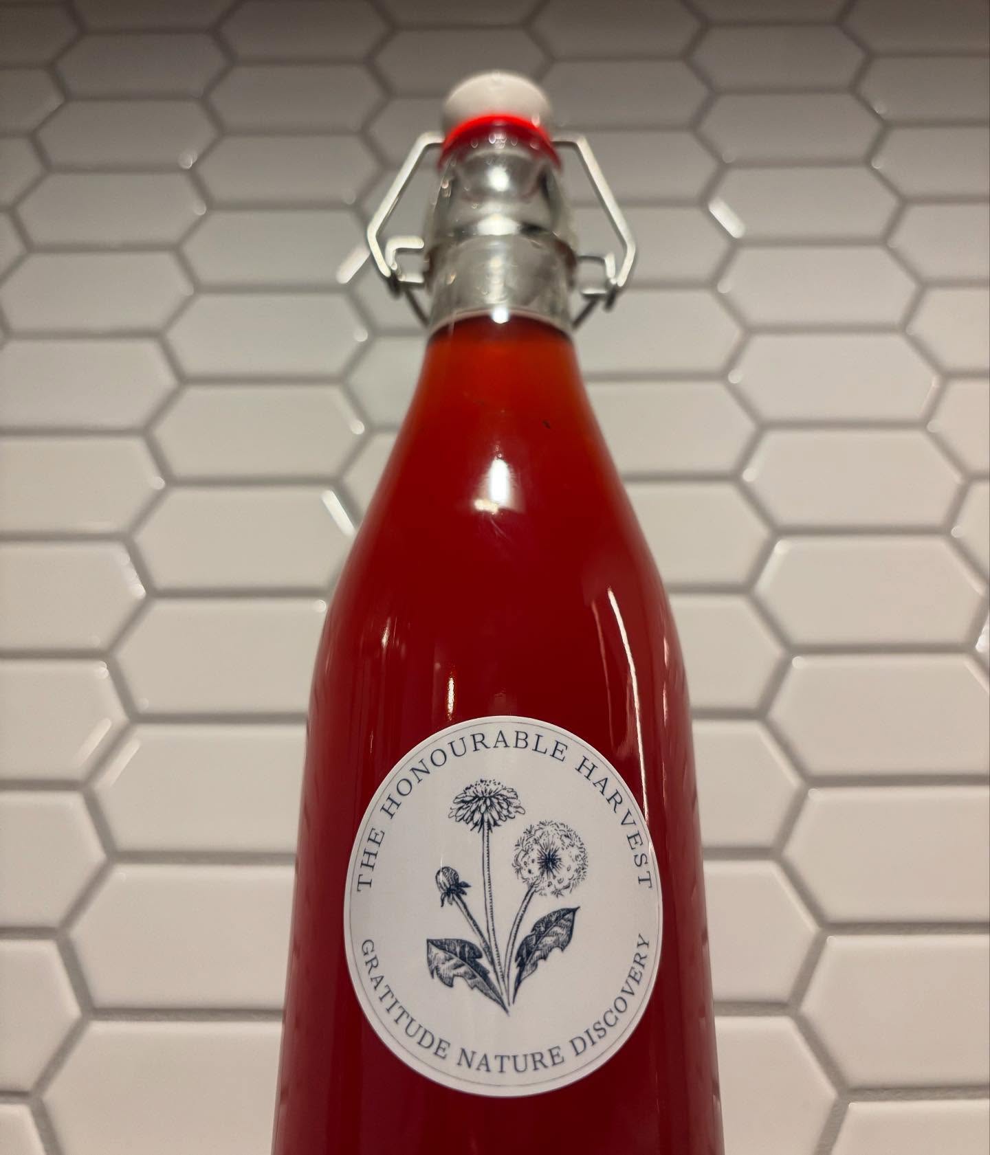 Wild Fermented Bush Soda. 🫧
Sumac, cedar and white pine inoculated with a wild harvested yeast yeast made with the forest.
I can show you how to make your own! Follow along and if you are in the Toronto area I can show you how!
Links to my upcoming events are in my bio! Let’s go for a walk!