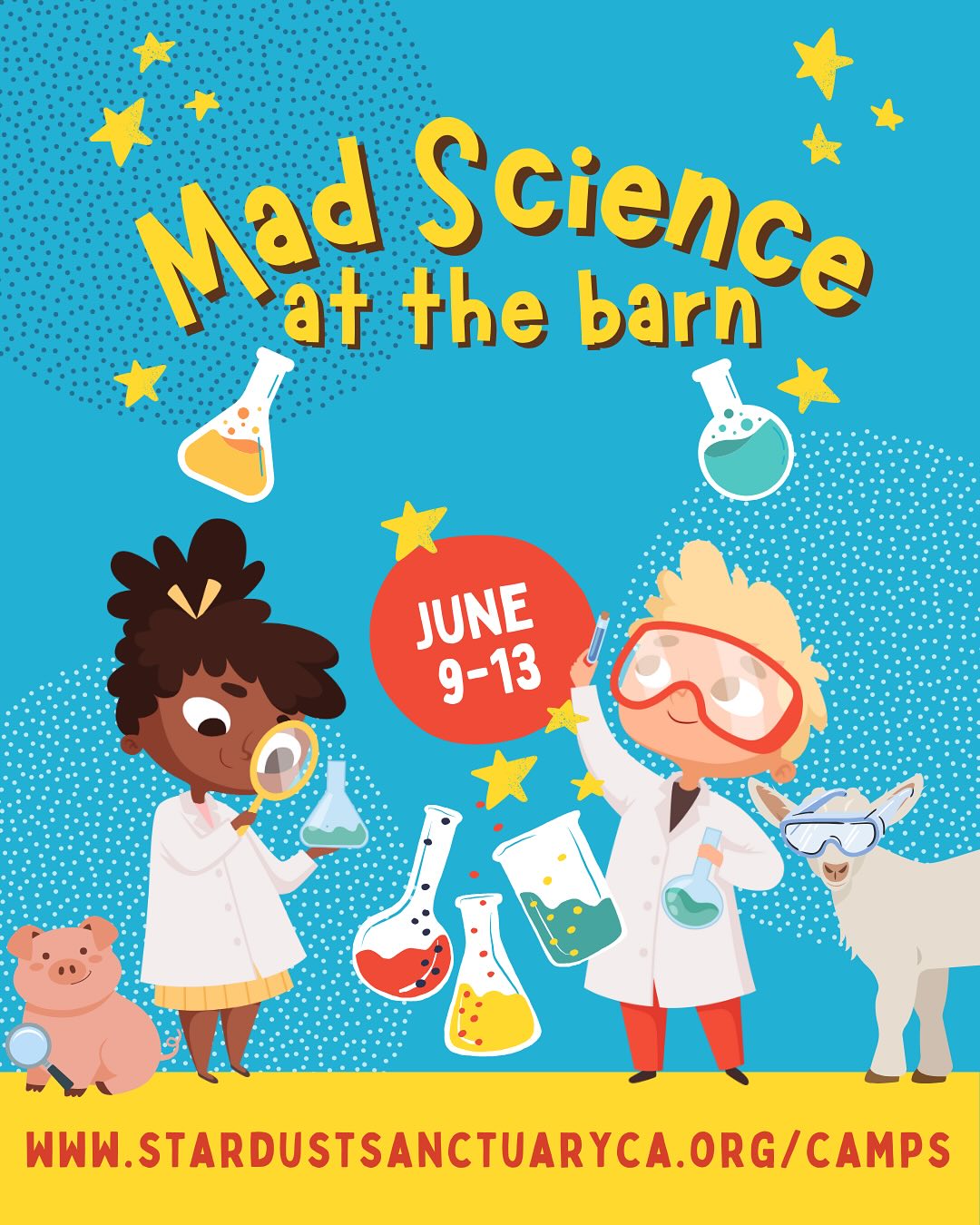 Summer at the Sanctuary is almost here!
Join us for unforgettable horse-powered adventures, animal encounters, and hands-on learning at Stardust Sanctuary’s Summer Camps! Whether your child dreams of becoming a young vet, a barnyard explorer, or just wants to spend time with our gentle animal ambassadors, there’s a camp for everyone.
Spots are limited, so saddle up and register today!
Ages: 5+
Location: Stardust Sanctuary, Clayton, CA
Website & Registration: stardustsanctuaryca.org/camps
Contact: info@stardustsanctuaryca.org
Tag a friend who needs to join the herd this summer!