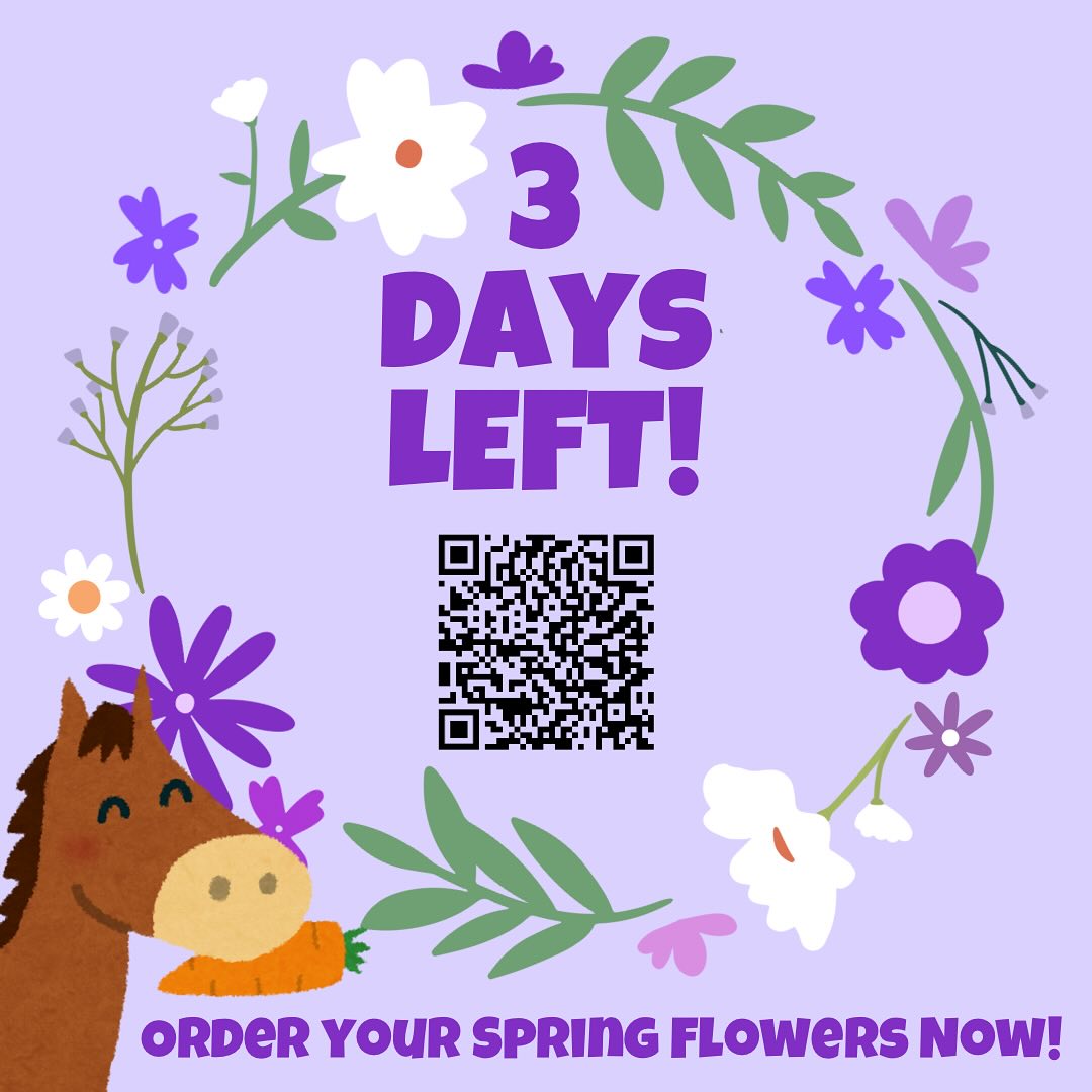 Just 3 Days Left!
Our SugarTide Flower Fundraiser is wrapping up soon—don’t miss your chance to support the barn and brighten someone’s day with beautiful blooms!
Orders close in 3 days, so be sure to place yours now and help us grow something special.
#RideTheTide #FlowerFundraiser #SugarTideEquestrian #SupportOurBarn #BarnLife