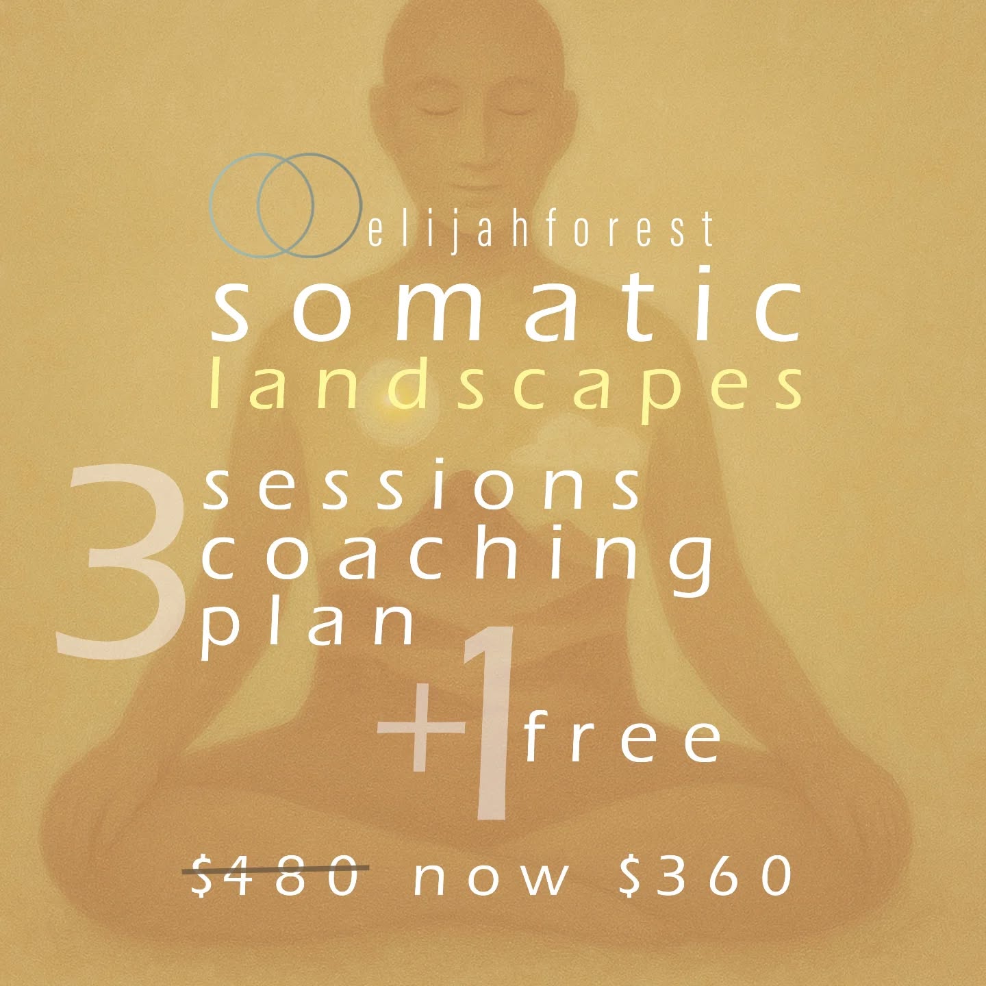 Somatic Coaching Special —
3 Sessions +1 FREE
Offering you a limited-time
somatic coaching series special
x4 sessions for $360 instead of $480
✨️ Offer ends 31 May.
In our sessions we explore the bodymind through 5 Somatic Realms:
▪︎ Sensorimotor – movement,
breath & sensation
• Emotional – the felt sense
of your emotional body
• Neuromuscular – patterns
of tension & holding
• Relational – connection,
boundaries & co-regulation
• Imaginal – the symbolic,
inner landscapes of the psyche
This series is ideal if you’re ready to explore the body’s intelligence, deepen self-awareness
and gain insightful somatic techniques
for emotional balance and nervous system regulation as well as insight into potentials
and self-development.
Each session weaves somatic techniques, mindfulness, and embodied inquiry to support your self-discovery and vision.
DM me to book or learn more.
elijahforest
Expand. Thrive.