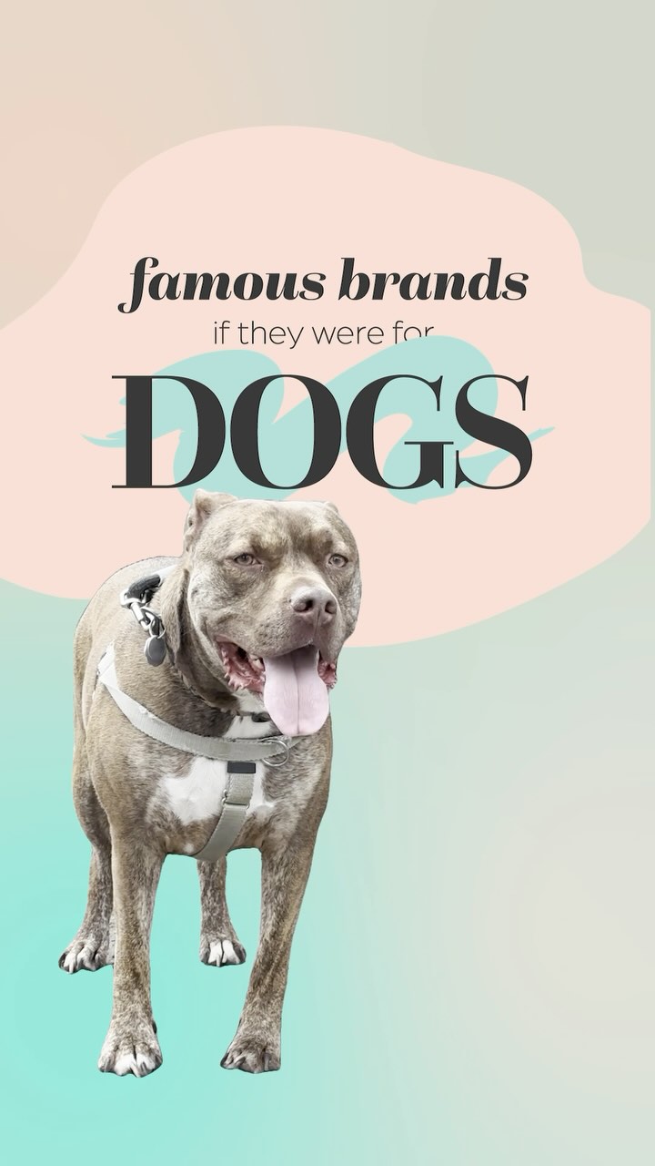 which ones should I do next? 😎
ps. the adorable pup at the beginning is up for adoption with @passionforpawss
#graphicdesign #forfun #parody #logo #contentcreation #marketing #creativedirection #design #branding #montreal #digitalmarketing