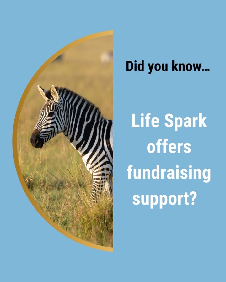 We can help! Comment “tell me more” or send us a DM to get our best tips and tricks for funding your expedition. #bucketlistafrica #forceforgood #lifesparkinternational #lifesparkexpeditions #kenyaimpact