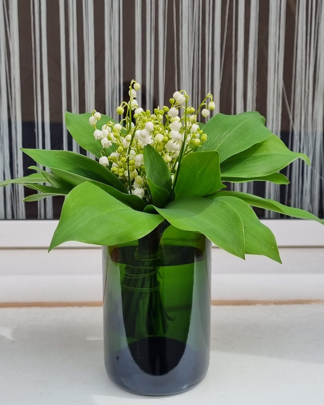 L’équipe du Champagne Brassart vous souhaite un bon 1er Mai ! 🍾
Quel meilleur vase pour vos bouquets de muguet qu’une bouteille de Champagne recyclée ? Ces vases MULAN, réalisés par nos soins, sont disponibles à la vente après commande en message privé !
#fetedutravail #champagne #vasechampenois #champagnebrassart #muguet