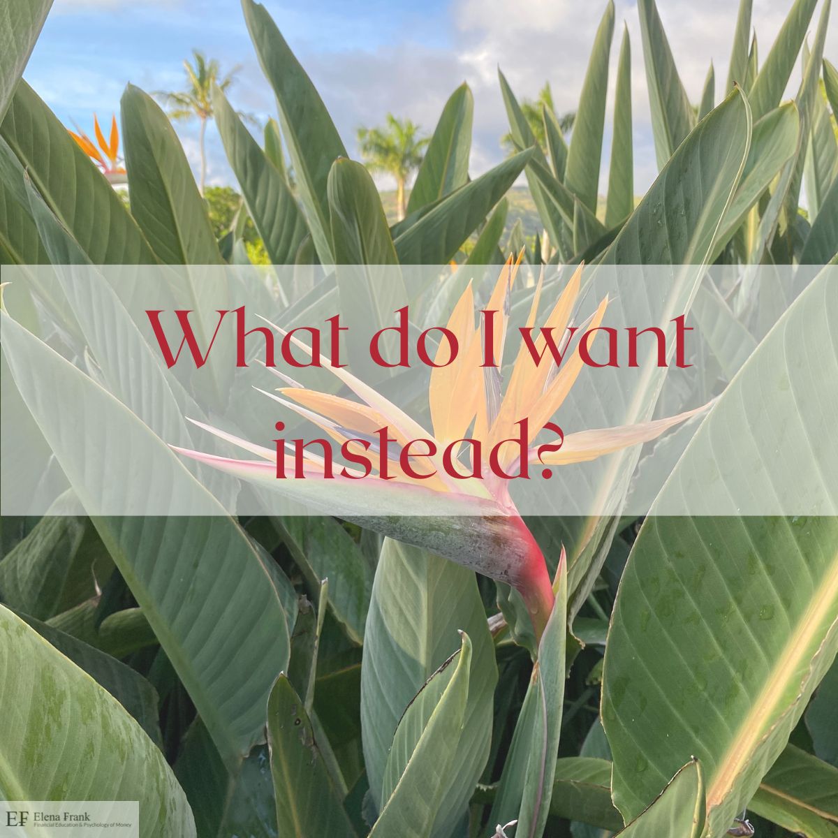 It is so easy to complain about today's life. We are often so deep in our dissatisfaction that it becomes the only thing we focus on. But in doing so, we miss the most powerful question: ๐๐ก๐๐ญ ๐๐จ ๐ ๐ฐ๐๐ง๐ญ ๐๐๐๐๐๐๐?
Once we shift our focus to this, our brain starts to see opportunities, begins rewiring itself, and before we know it - boom! ๐๐ ๐๐ซ๐ ๐ฅ๐ข๐ฏ๐ข๐ง๐ ๐ญ๐ก๐ ๐ฅ๐ข๐๐ ๐ฐ๐ ๐ญ๐ซ๐ฎ๐ฅ๐ฒ ๐ฐ๐๐ง๐ญ. ๐๐ ๐๐จ๐ง๐ฌ๐ญ๐ซ๐ฎ๐๐ญ ๐ข๐ญ. ๐๐ ๐๐ง๐ ๐ข๐ง๐๐๐ซ ๐ข๐ญ.
So, what do YOU want instead?