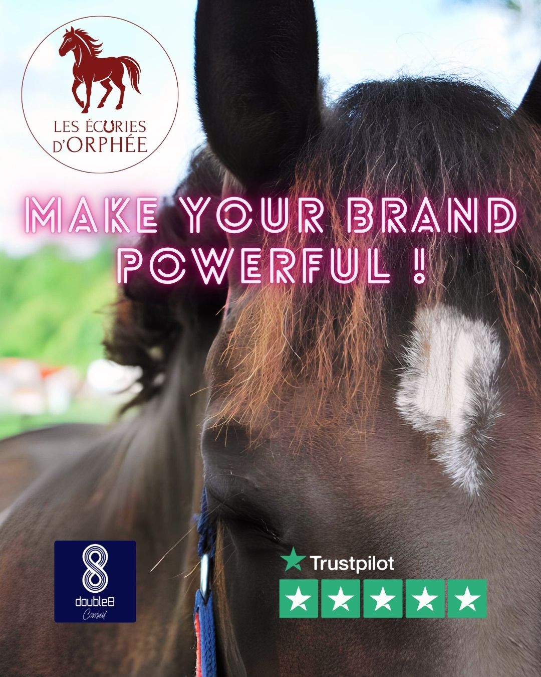 Nous avons eu le plaisir de créer l'identité visuelle de Les Écuries d’Orphée, une pension pour chevaux en activité depuis plus de 20 ans à Cavignac, près de Libourne et pas très loin de Bordeaux.
Le logo a été décliné en plusieurs versions avec une base de bordeaux, pour rappeler les codes couleurs de l’établissement qui est un réel havre de paix pour vos compagnons à 4 jambes.
Françoise a depuis toujours la passion du cheval et du vivant et prend soin de ses charmants pensionnaires avec son équipe, une visite que nous avons beaucoup appréciée tant les animaux semblent épanouis et chouchoutés.
#identitevisuelle #logo #logodesigner #identitévisuelle #salondecoiffure #salondecoiffurefemme #branding #brandidentitydesign #brandidentity #double8_conseil #followme