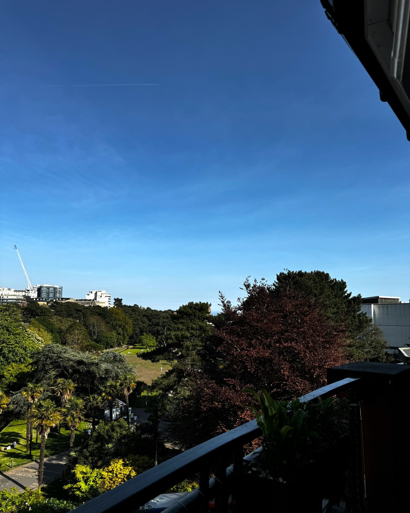 Views from the fourth floor balcony…not long now! 👀☀️
@thebotanistuk