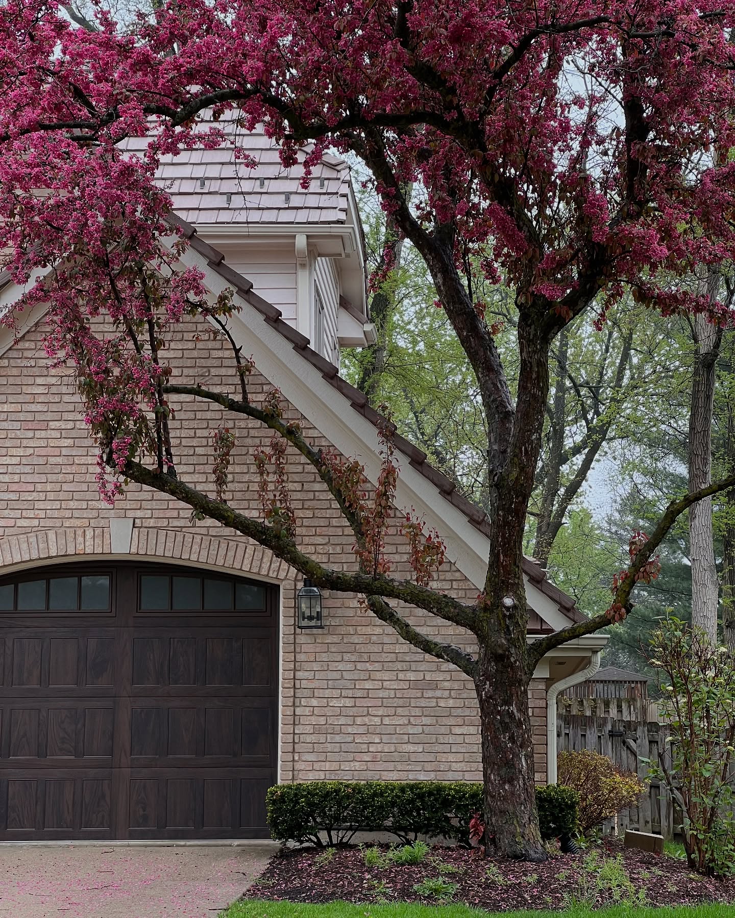 Welcome May! Your beauty is inspiring
My favorite two Home + Nature
#myhometoinspire #mayflowers #naturebeauty🍃