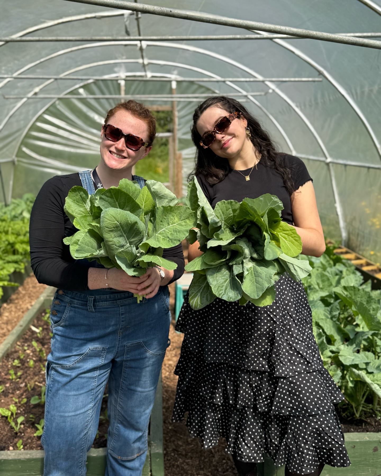 So happy to have had the lovely Unna and Casey volunteering with us Today 💕🦋☘️💐 Such a joyful day in the garden — and they’re heading home with the freshest greens. Can’t wait to welcome you all again soon! 🪴🔆 @corkmigrantcentre @nanonagleplace