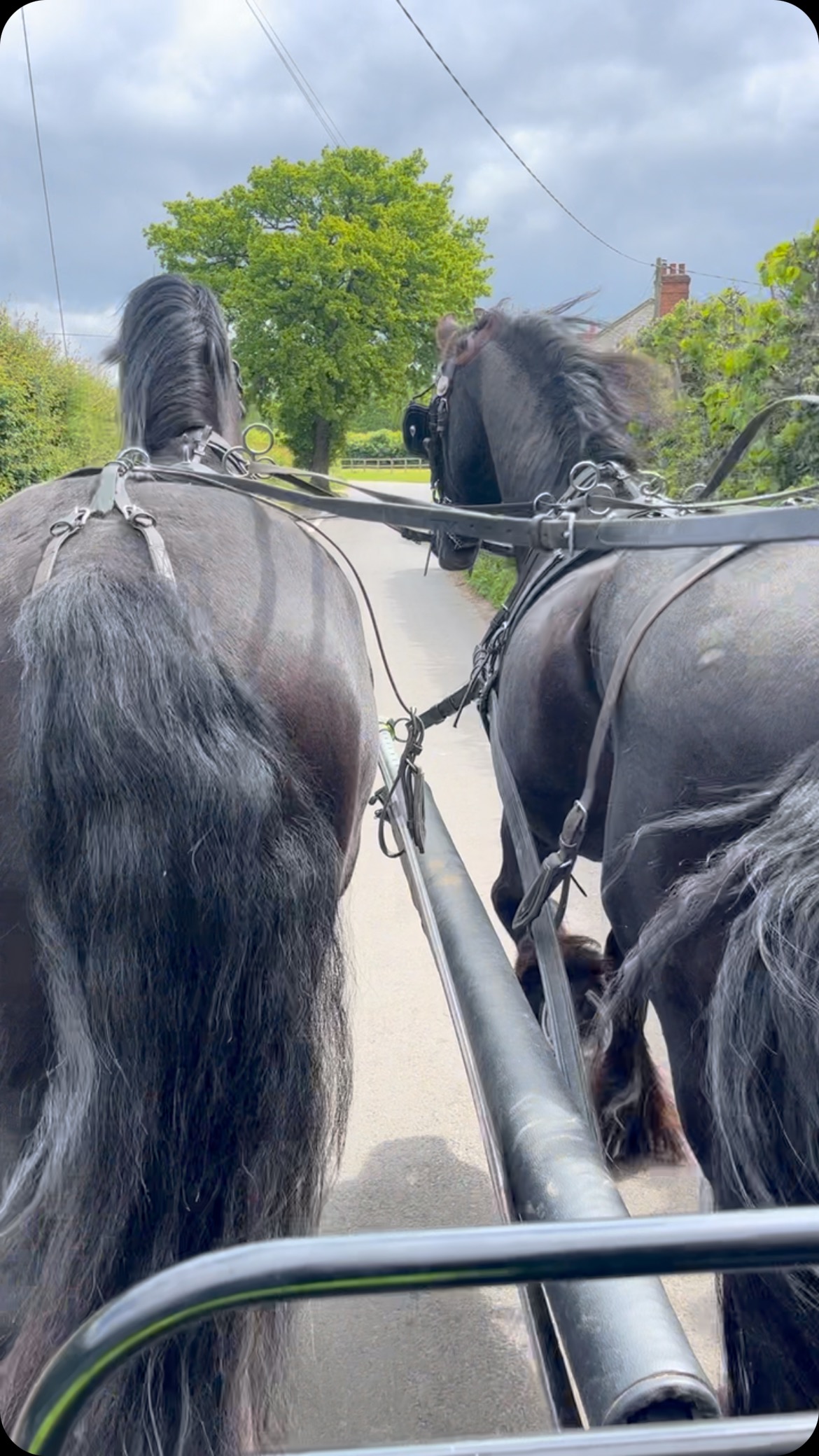 I hope you all had a great bank holiday weekend, I had a great time working, with friends and then driving with @emmaspanishhorses and her beautiful pair of Fresians who also form part of @bravo.the.little.dancing.horse
Here is to a great week ahead.
I really love these prominent words from the late HM The Queen
#monday #bankholidaymonday #mondaymotivationalquote #mondayinspo #horses #pr #prlife #marketing #socialmediamarketing #branding #equestrianmarketing #ruralmarketing #lifestylemarketing