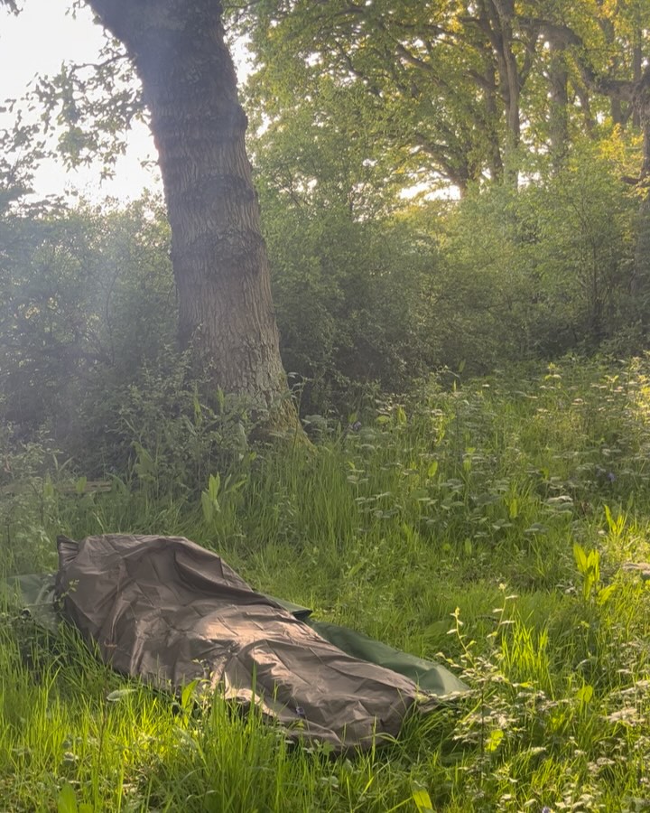 honour of actually @singingwithnightingales
deep in the woods this first may weekend
in the moonlit dark of the night
accompanied by harp and @mainlychrisclarke
by story and voice of @samleesong
held in a human huddle
humming, weeping, joy filled harmony
being taken by the liminal
and then, meeting edges
to sleep on earth
open sky above
under oak
amongst bluebell
and wake to birdsong
and morning sun sparkling
gathered up and guided by @beckyburchell22
inspiring, nurturing, nourishing wild change indeed
how could it not?
i know it, deep in my bones I know it
and yet i need reminding of it
over and over again
don’t we all need reminding of it?
over and over again
that we get to be a part of all of this?!
so thank you @jf_scott_88
for this beltane blessing of an invitation
and to all of the crew & fellow guests
for conversations & nature steeped together time
for guiding me back home once again
every cell of my being is still humming with gratitude
#nature #natureconnection #ecopsychology #ecotherapy #singingwithnightingales