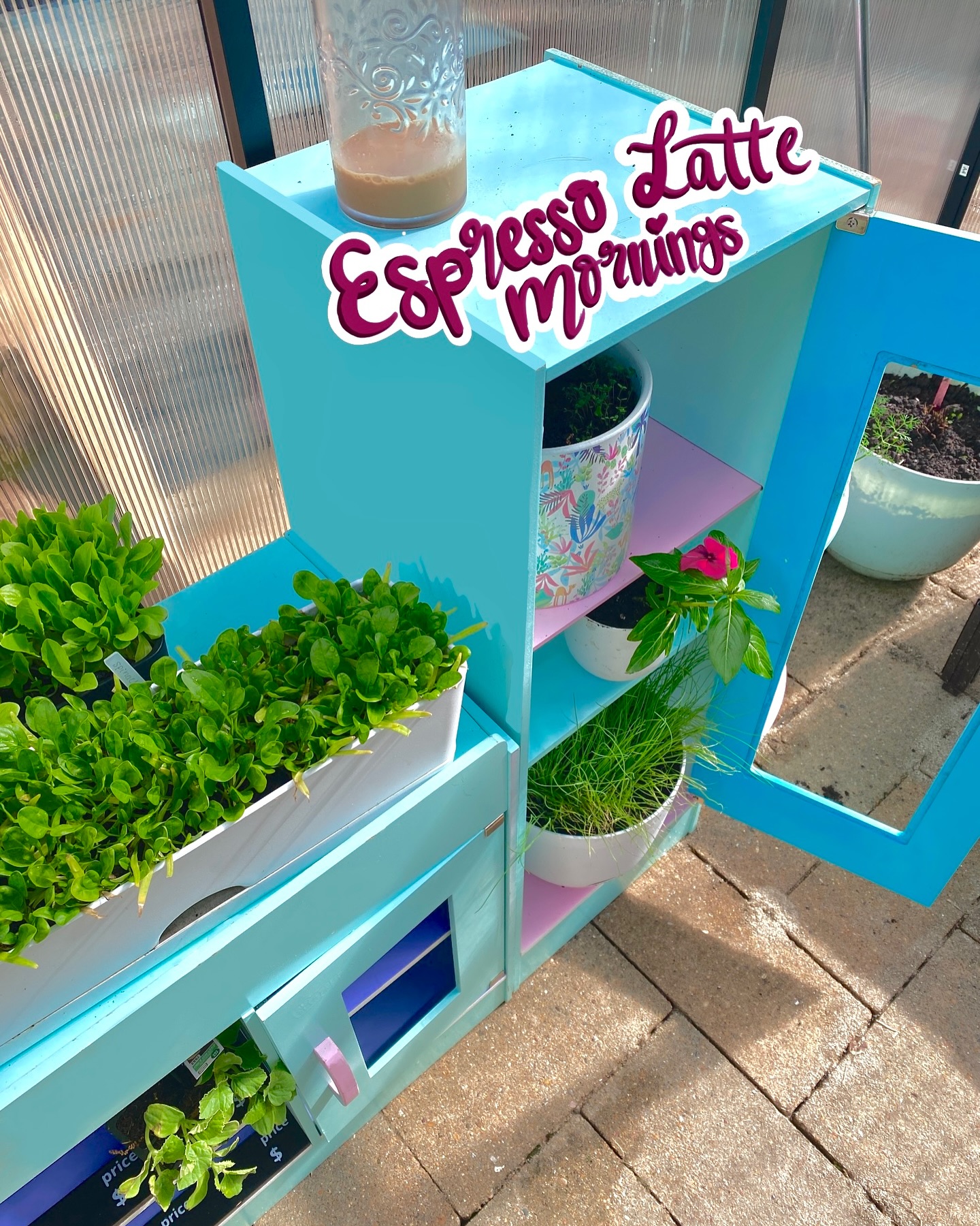 The merch display, yes, it’s a painted kids play set, has officially retired to the greenhouse.
Can’t say it didn’t live its best life 💁🏻♀️
#bocoboba #gonebutnotforgotten