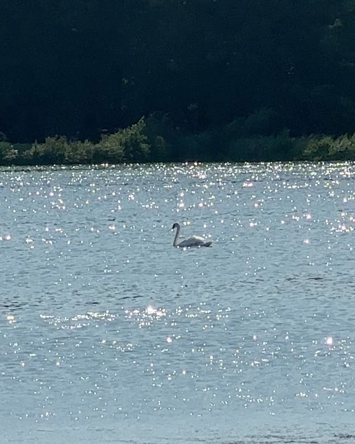 Last week at The Gem 🤎