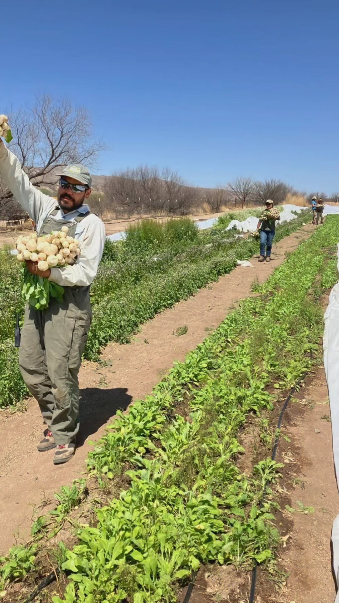 Movin and shakin! Happy May y’all 🌞🌻✨🐷