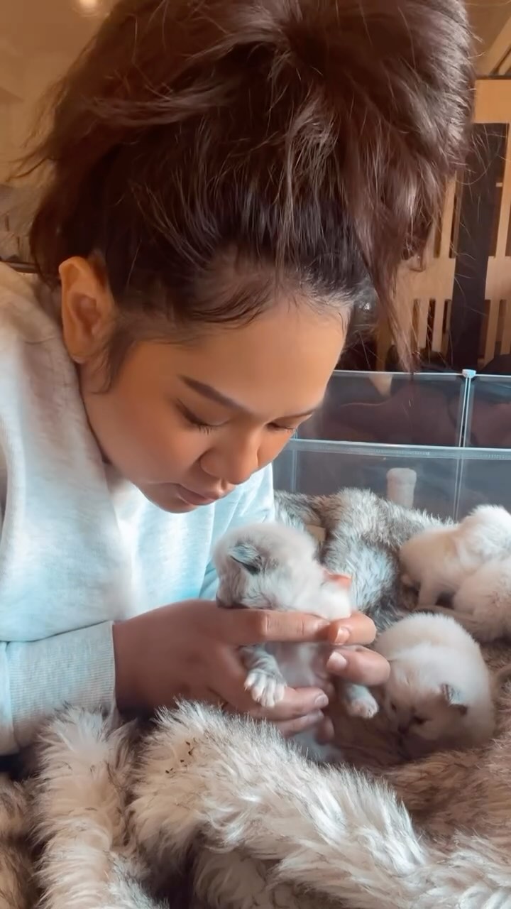 Lani’s litter update 🩷
www.purrsace.com
Purrsace Ragdolls
GCCFV registered breeder
Source# RB10973
#ragdollaustralia #ragdollcat #catsofinstagram #ragdollsofinstagram #ragdoll #ragdollkitten #catlover #ragdolllove #kitten #catlife #ragdollkitty