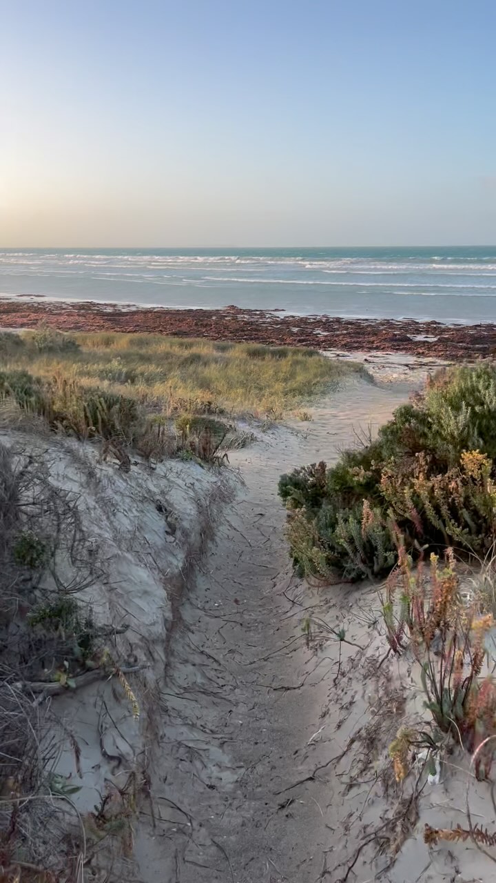 From the mouths of babes.
Counselling can help give you space to choose how you react.
#counselling #waggawellness #wellbeing #onlinecounselling #cbttherapy #mentalhealth