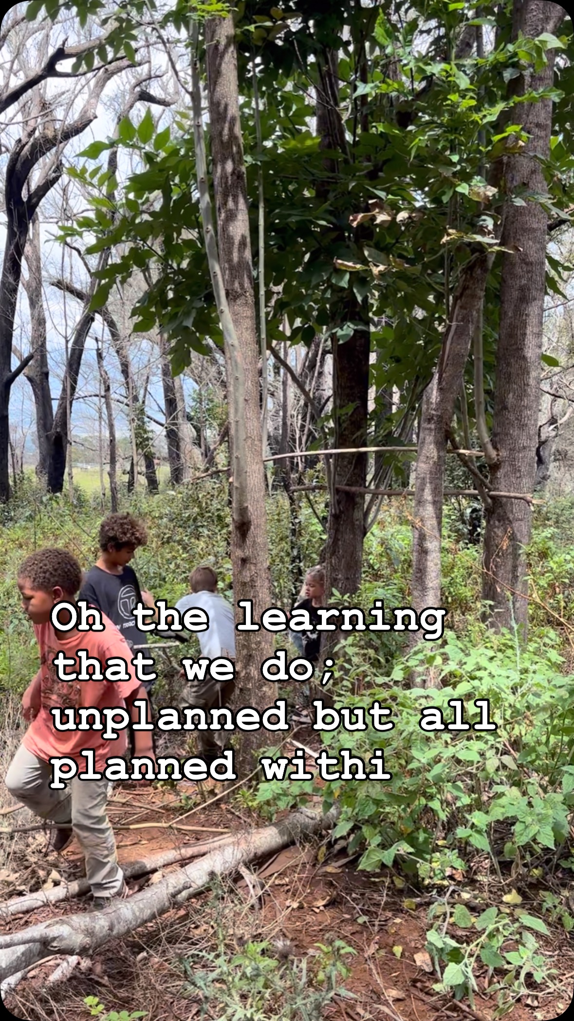 “When play meets purpose.”
Today, our keiki turned the forest into a classroom — and the trees into their foundation. Using broken branches and fallen limbs, they designed and built a fort, using the natural trees as pillars to support their roof. No blueprints, no instructions — just instinct, observation, and collaboration.
What looks like play is actually a lesson in engineering — balancing weights, measuring angles, creating structure and stability.
It’s math in motion — estimating lengths, comparing sizes, and figuring out symmetry.
It’s science in real time — testing materials, adjusting designs, learning how forces like gravity and tension work.
It’s teamwork — listening to one another, solving problems together, and building something greater than they could alone.
This is the kind of learning that sticks. Rooted in experience, driven by curiosity, and powered by connection — to the land and to each other.
This is Pono Outdoor Program. This is Laulima
#ponooutdoorprogram #outdooreducation #handsonlearning #grounding #keikiadventures #natureeducation #naturallearning