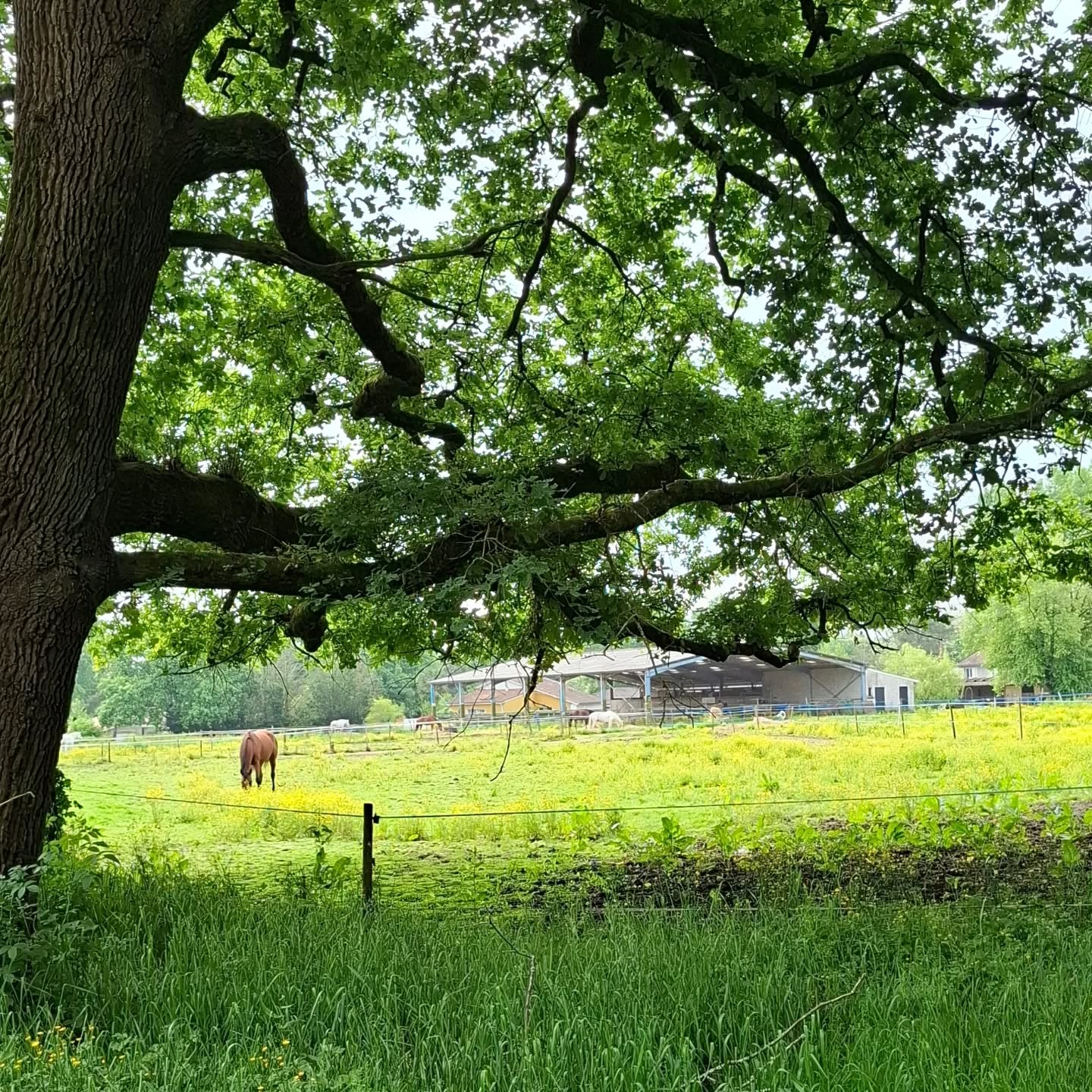 Changer de perspective... mais où a été prise celle ci?! 🔍