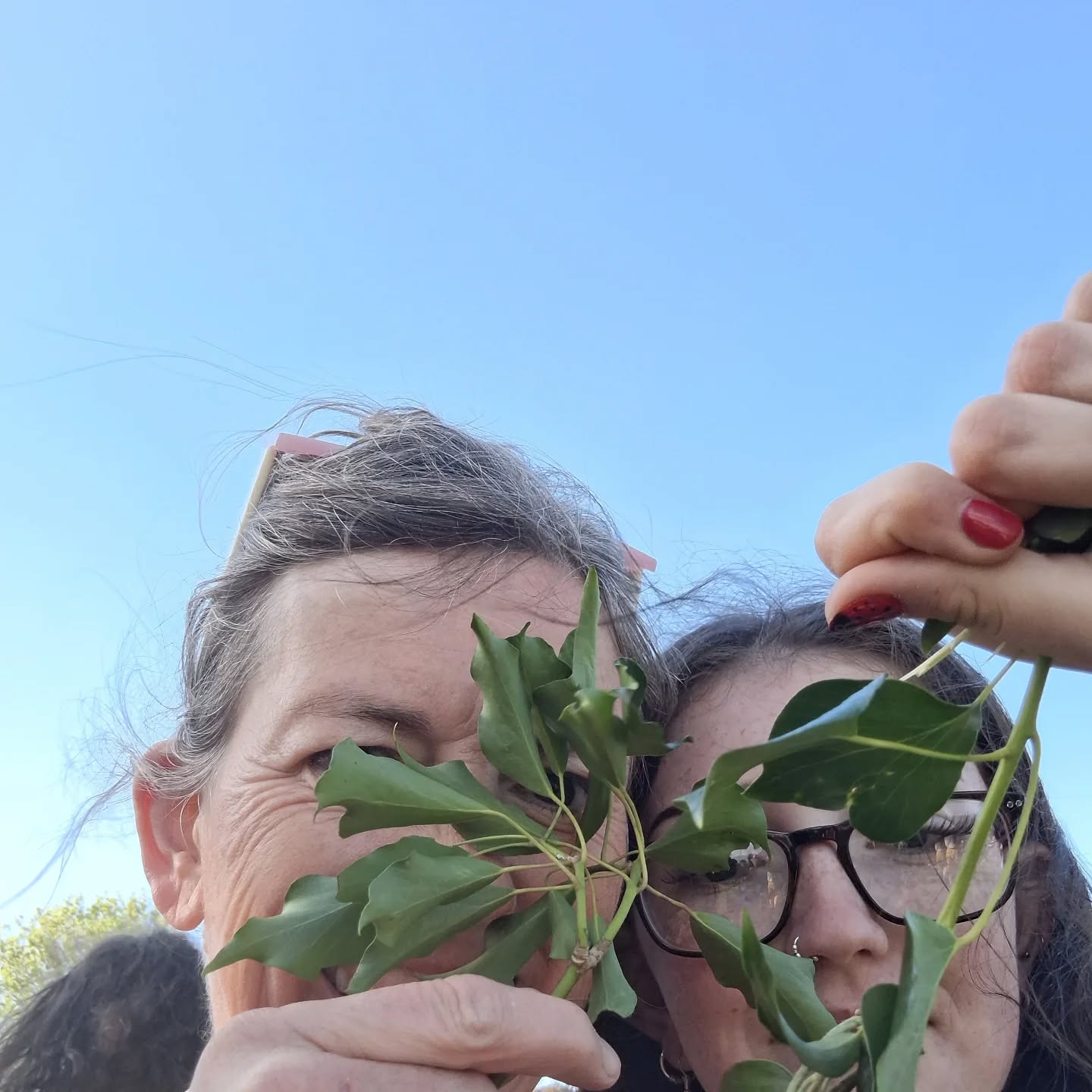 Me and my daughter went to meet Jack in the green yesterday on Horfield Common.
We've been coming since she was little.
It's such a community driven expression of the exuberance of spring.
We know spring is in full tilt once Jack has been knocked down.
Ritual is so important to anchor us in the year, in our lives and in our community.
I love it 💚🌱🌳❤️
#mayday #spring @pigstymorris