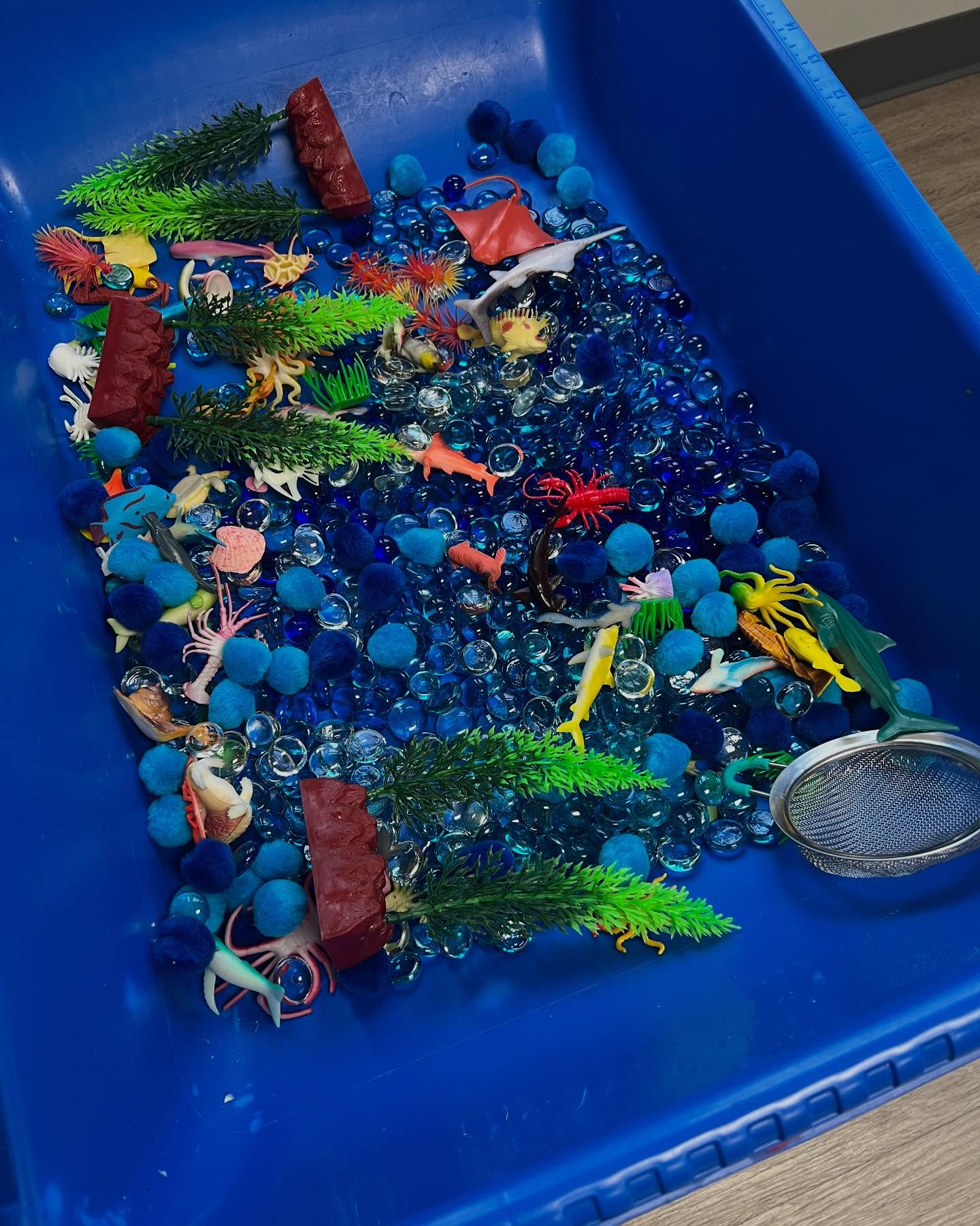 We still have space for your child in tomorrow’s 9 a.m. messy play class. We’re making squishy stingrays and sorting through shells.