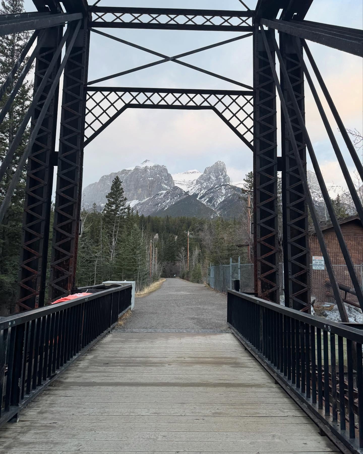 I want to get off the path!
Can this path please be done with me.
I can’t hurt anymore.
I can’t.
This path that has led me through such devastation. I know I know I know already….i know I am broken.
I know the happy story will never be mine. It’s my fault for believing in it.
This stories have always been me reading or watching them. It’s for the people around me. It’s not for me. I fear it never will be.
I told my mom he was the one.
He was.
And I don’t care how soon it was. I felt it in my soul.
And he left me.
People always leave. Or shut me out.
That is my story.
Not this fucking happy story.
Not the story of having babies.
Not the story of waking up feeling loved and cherished.
Not the story of getting to dance in the sun shine for the rest of my life.
So fuck this path.
Fuck the journey.
I just want to burn it all down.
https://www.skysthelimit.online