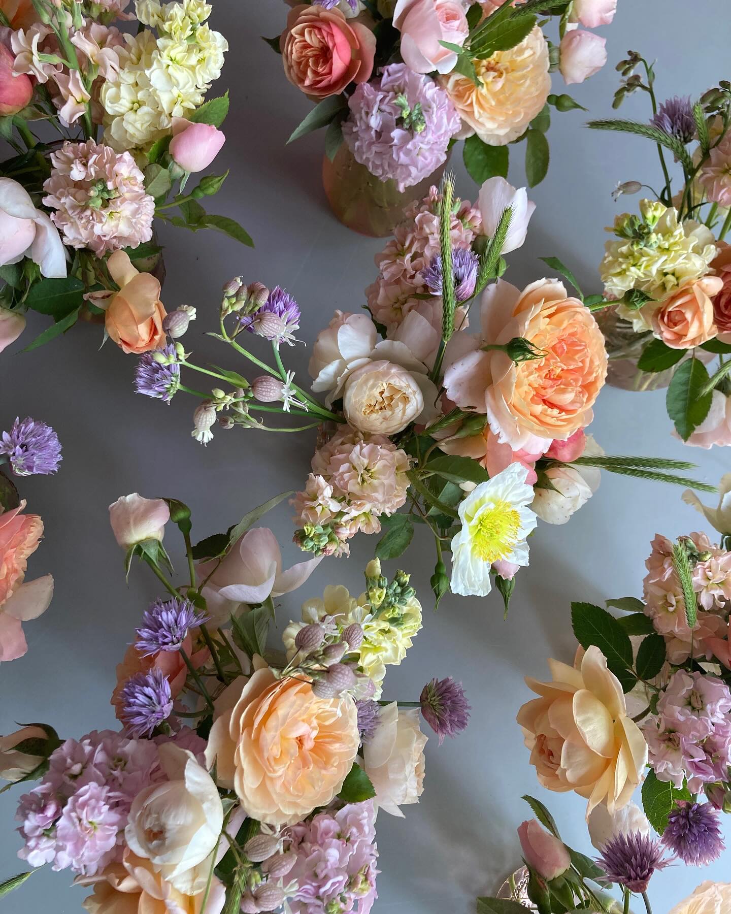 We’re in Hartwell tomorrow from 10-3. Roses, roses, and then more roses when you get sick of all the roses. Edible flowers, eggs and plant starts for your garden too! Come on out to @commongroundhartwell and grab some pretty things for this rainy weekend.
#localflowers #rosestagram #snapdragons