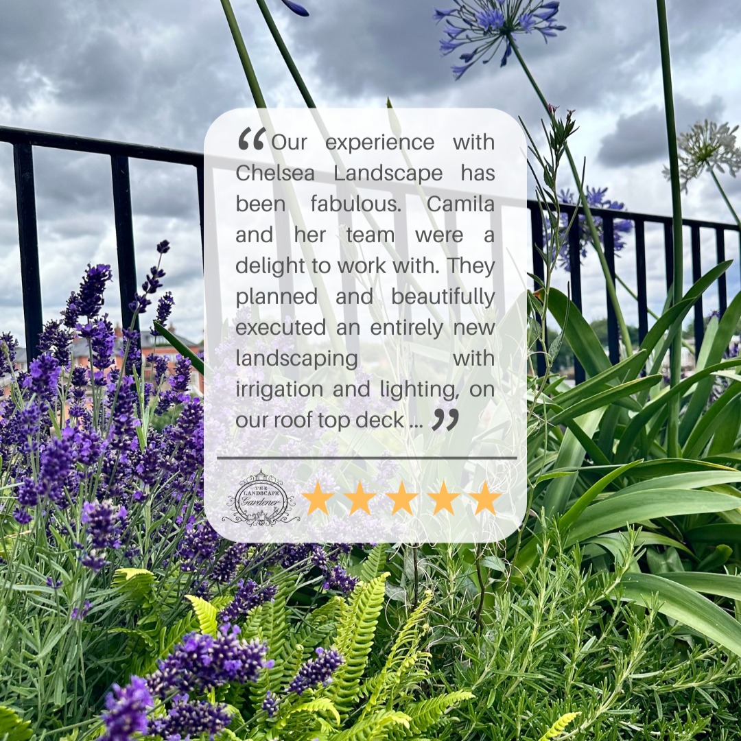 Creating beautiful gardens is what we do, but knowing our clients are genuinely satisfied is what truly drives us. Every project is an opportunity to uphold the highest standards in craftsmanship, service and attention to detail. We’re honoured to be entrusted with such meaningful spaces and always strive to exceed expectations.
If you're looking to elevate your outdoor space, we'd be delighted to bring your vision to life 🌿
.
.
.
.
.
#GardenDesign #ClientSatisfaction #BritishGardens #LuxuryLandscaping #CraftsmanshipMatters #HighStandards #ElegantGardens #OutdoorLiving #LondonLandscaping #GardenTransformation #chelsea #fulham #southkensington #london #clapham #claphamcommon #putney #gardenmaintenance #gardendesign