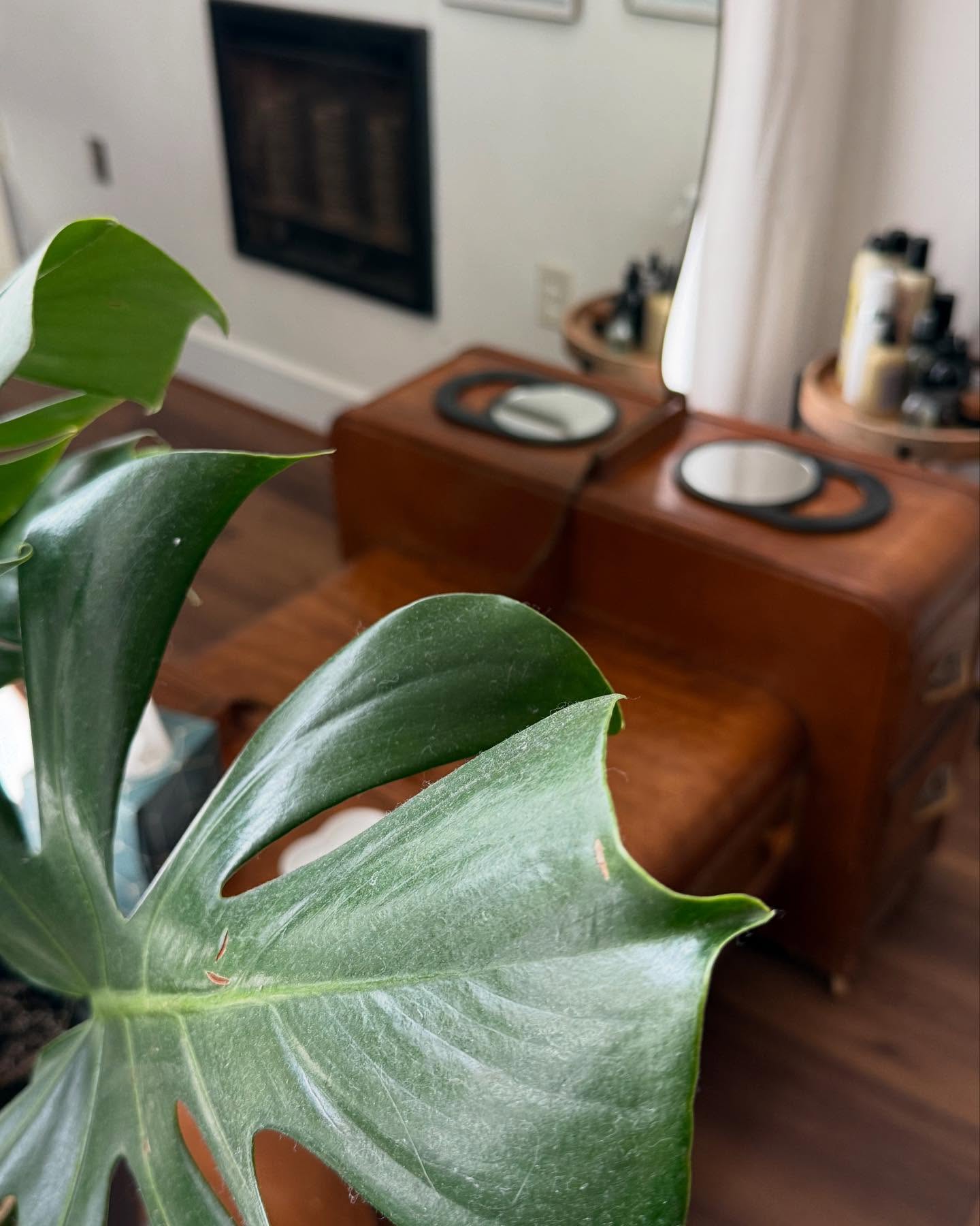 Don’t forget! Mother’s Day is next Sunday May 11th. I have digital gift cards available 🫶🏻🌿