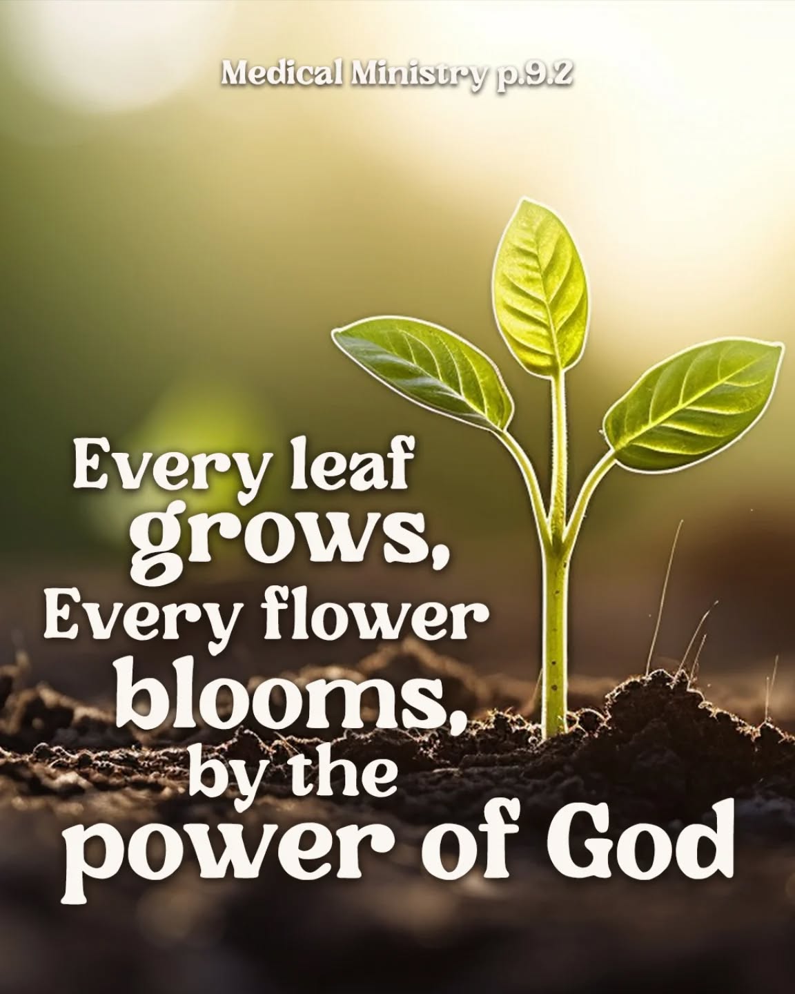 It is through the immediate agency of God that every tiny seed breaks through the earth and springs into life. 🌱✨
Let’s not forget who sustains every breath, every blossom.
#godspower #creation #faithandnature #adagrafamily #AdAgrAeurope