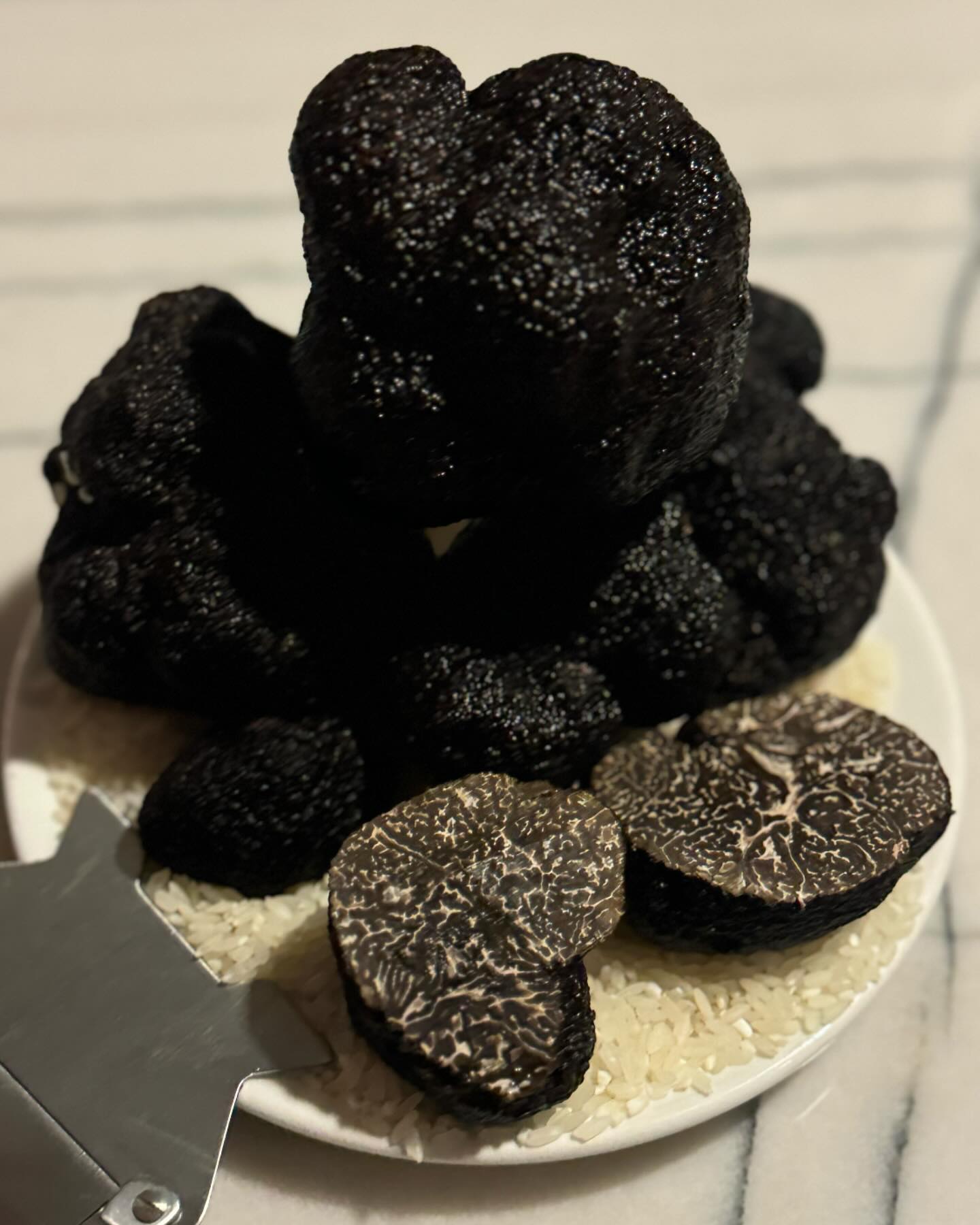As we step into our culinary phase with truffle season on the horizon, we're thrilled to welcome our second-ever truffle harvest at Double Oaks Estate. How much will we harvest? We’re not sure—come along for the adventure and find out with us! Our cellar door remains open by appointment only, so give us a call and don’t be a stranger. Thank you for a wonderful Spring and Summer—here’s to what’s next!
#perigord #perigordtruffle
#truffle #frenchoak #truffiere #truffles #truffledog #truffletraining #weekendsinmelbourne #macedonrangeswine #functionsvictoria #macedonrangesnaturallycool #cellardoorvictoria #melbournecellardoor #victorianwine #victorianwinery #winerymacedonranges #newreleasewine #macedonrangesnaturallycool #cellardoorvictoria #visitwineryvictoria #wineryvictoria
#cellardoorfood
