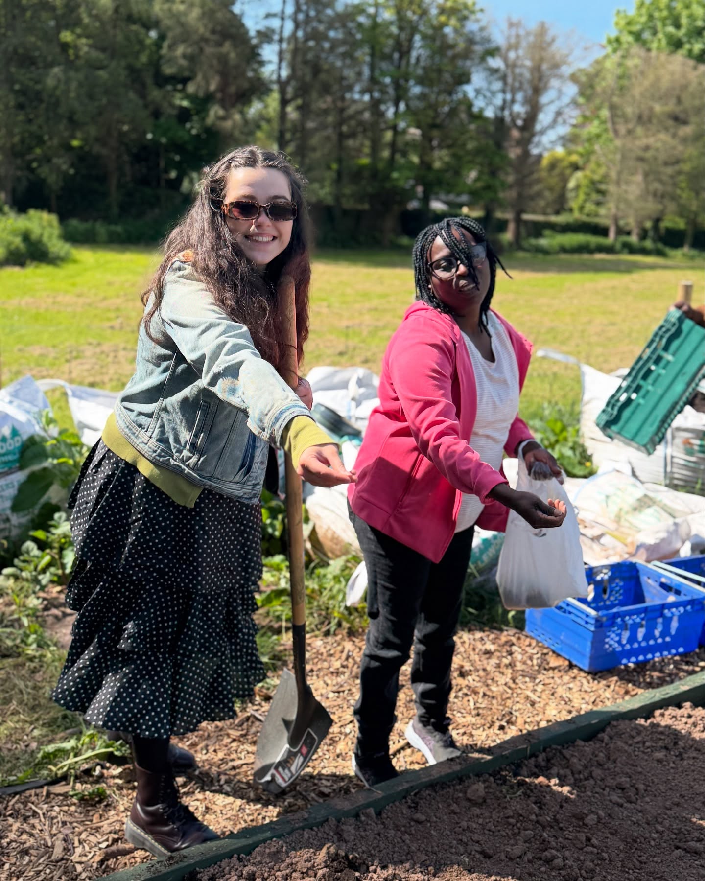 Winnowing amaranthus seeds (muchicha) in the open garden — a beautiful, breezy ritual that connects us to the cycle of seed and soil. Celebrating abundance, community, and the promise of future harvests in our new garden beds. #Amaranthus #SeedWinnowing #OpenGarden #CommunityGrowing #CorkGardens
