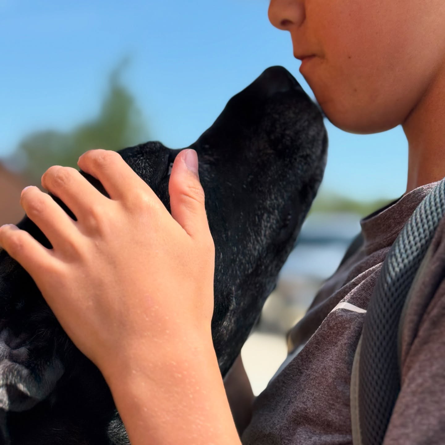 Speaking the same language….🥹🥰
Boerne Pet Sitting - accepting all new furry friends—because every pet deserves this kind of love while you’re away!
📲 Link in bio, message or text 830-837-3135
📍www.boernepetsitting.com
#boerne #boernetexas #boernephotographer #petportrait #petsitting #petsitter #lovemyjob