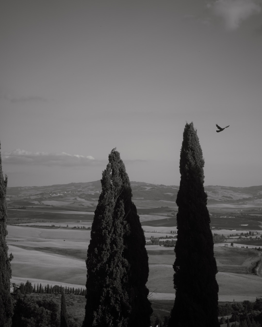 Val d’Orcia took over our hearts completely and Pienza might just be one of the most beautiful, characterful places we’ve ever been. There’s something about Italy that keeps calling us home 🥹
#valdorcia #pienza #tuscanyview #italianvibes #destinationwedding #editorialwedding #weddingphotography #weddingitaly #tuscanywedding #weddingphotoandfilm #analogwedding #hochzeitinitalien