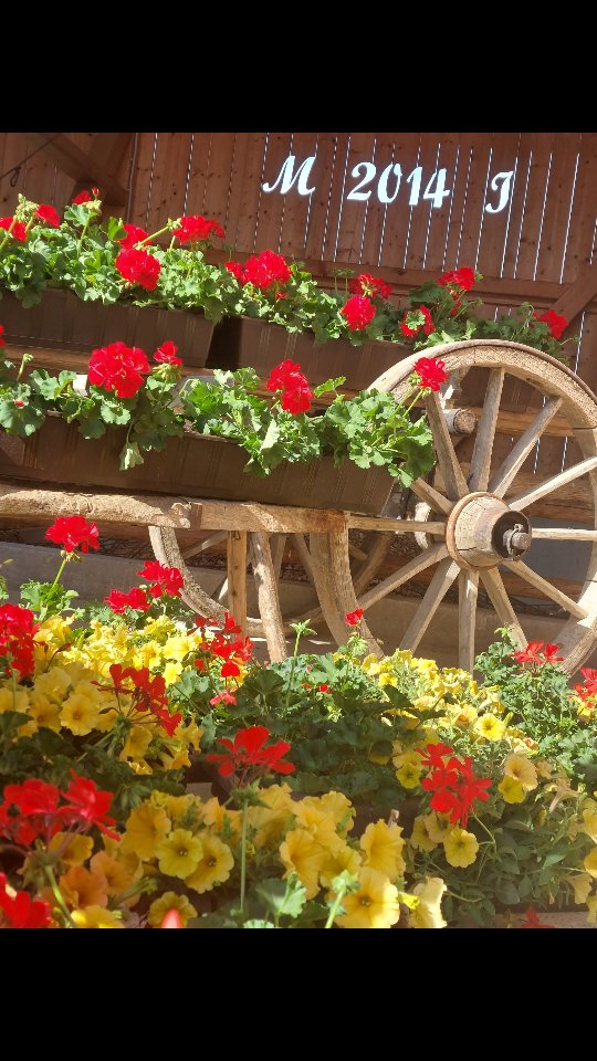 Balkonblumen 2025... wir sind gespannt, wie es wird😊🌞🌸
#weissnhof_samerberg #weissnhof #urlaubaufdemsamerberg #wanderhöfesamerberg #urlaubaufdembauernhof #urlaubindenbergen #samerberg #servussamerberg #ferienwohnung #ferienwohnungsamerberg #sommerfeeling #balkonblumen #geranien #surfinien #petunia #rot #gelb #rotgelb #bauernhaus