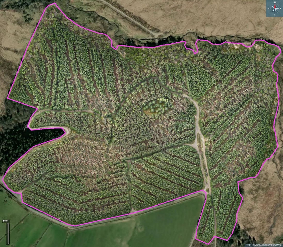 It’s not all spray drones! Here’s a mapping job we completed for HW Forestry the other day. We were able to accurately map a 20ha block of woodland and access the wind blown damage. Highlighting the total damage of the area, fire roads that were blocked etc allowing the client to plan their next move with confidence.
🚁 📸 🌲
#highvantage #dji #woodlandmanagement #forestryuk #wales