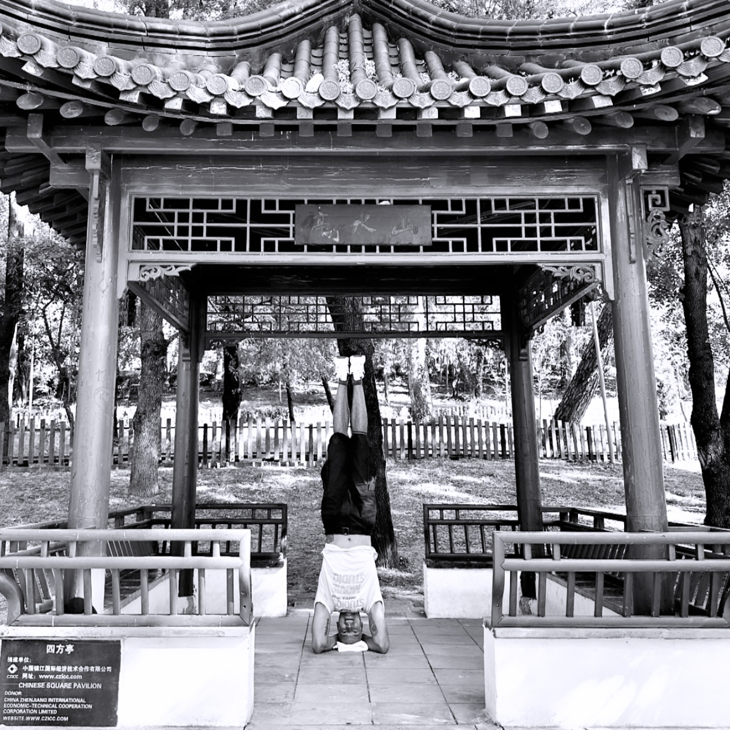 WEEK CLASSES
SCHEDULE
(Online and in-person)
Wednesday’s:
10h to 11h30
Friday’s:
10h to 11h30
At Lisboa Yoga Loft
.
.
.
.
.
#Yoga #asana #sirsasana #sirsasana #yogazoomclass #inversionpose #yogainversions #sirsasanavariation #iyengaryoga #bksiyengar #yogaportugal #lisbonyoga #practice #hugoabecassis #yogainspiration #yogapose #yogateacher #flexibility #yogaeveryday #yogi #yogajourney #stretching #onlineyogaclasses #yogastudio #headstand #onlineyoga #hathayoga #albaniayoga #yogatirana