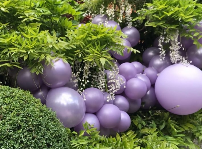 #wisteria and @bespokeballoons.ie #biodegradableballoons