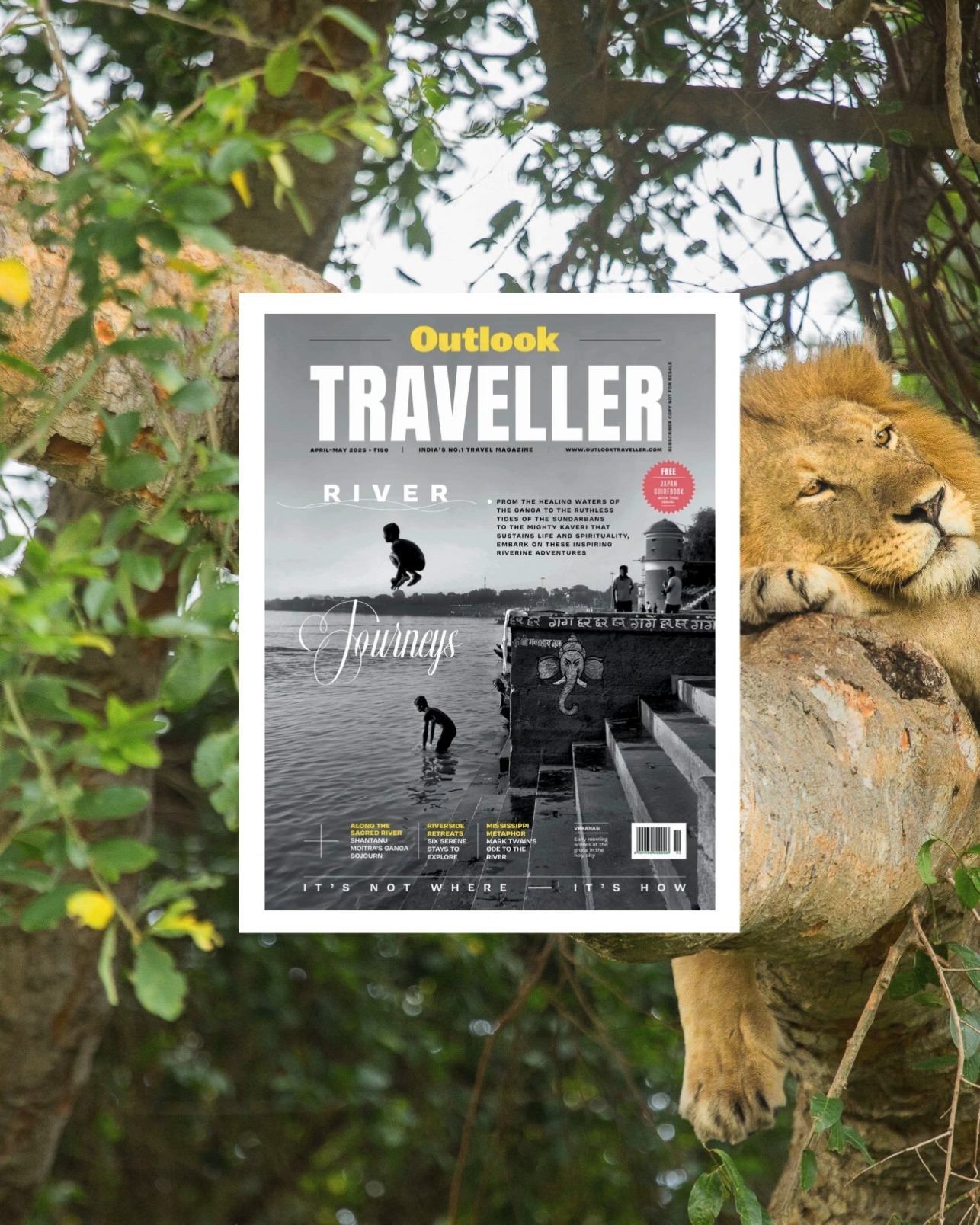 In @outlooktraveller, journalist @charukesi takes readers deep into Uganda’s Kyambura Gorge, a “sunken forest” carved into Queen Elizabeth National Park, where a small, isolated group of chimpanzees offers an unexpectedly intimate look at our closest living relatives. Her base? @volcanoes_safaris ’ Kyambura Gorge Lodge, perched right at the edge of the gorge.
From the lodge, guests can walk into the rainforest on a conservation-driven trek led by rangers like Judith Nyamihanda, who has tracked a particular chimpanzee family for over two decades. “Every day is different,” she shares, as travelers descend into the gorge to witness the primates' social rituals, parenting behaviors, and territorial drama in their natural habitat.
The story is as much about the chimpanzees as it is about the role of Volcanoes Safaris, whose eco-lodges and community initiatives have set new standards for responsible tourism in East Africa. As Ramadurai writes, “Kyambura Gorge Lodge, a boutique property... is owned by Volcanoes Safaris, who are the pioneers of responsible wildlife tourism in this country and offer a range of activities that promote both wildlife conservation and community upliftment.”
With eight bandas, spa treatments, and views of either open savanna or the dramatic forest below, the lodge offers comfort with a sustainable conscience. Beyond the trek, guests can engage in landscape conservation walks, birdwatching across the wetlands, and the immersive Fig Tree Trail.
For journalists exploring stories around conservation, great ape tourism, or East Africa’s evolving eco-luxury experiences, we’d love to connect. Contact us for press opportunities with Volcanoes Safaris.
#VolcanoesSafaris #KyamburaGorgeLodge #REYACommunications #EcoLuxury #ChimpanzeeTracking #SustainableTravel #GreatApeTourism #TravelWriting #ConservationTourism #EastAfricaTravel #OutlookTraveller #WildlifeJournalism #VolcanoesSafarisExperience