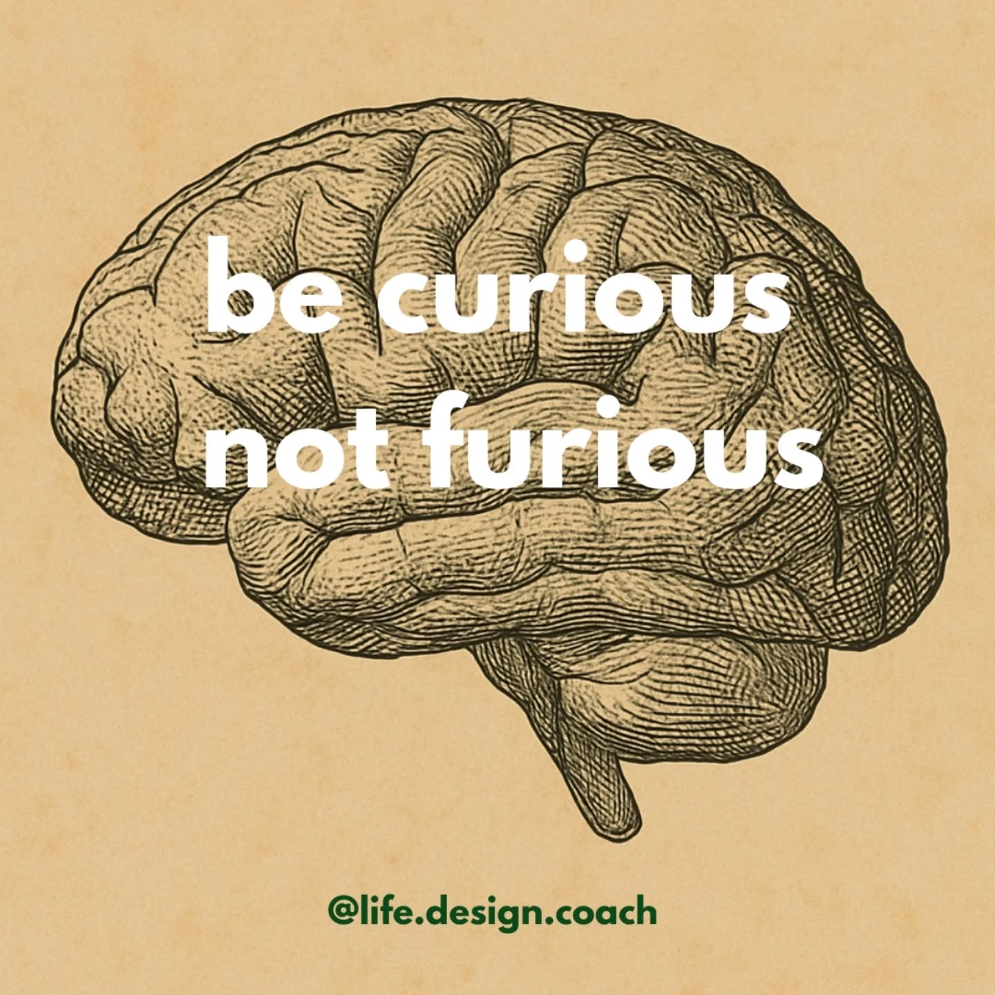 This is so key to everything, and the best way to relieve yourself of criticism, judgment, anger, prospective conflict and blame, whether directed at yourself or others (and it rhymes which always helps it chime 🤣). I say this as a manager ALOT to staff who are navigating challenging situations or relationships as an approach to a conversation. Don't enter with blame, ready for a battle and expecting the need for discipline or punishment - simply go in enquiring why, what caused it, where did things go wrong, what happened that made them believe this was best? And you can apply it equally to yourself when you are fuming about something you have done or a mistake you've made. It's essentially just empathy. Wonderful empathy. And through using this, anger and blame can genuinely be dissolved, so you are actually in a better position to repair, improve or move on.
Where could you apply this? Is your default fury or cury-osity? (doesn't quite work) Are you able to make the shift?