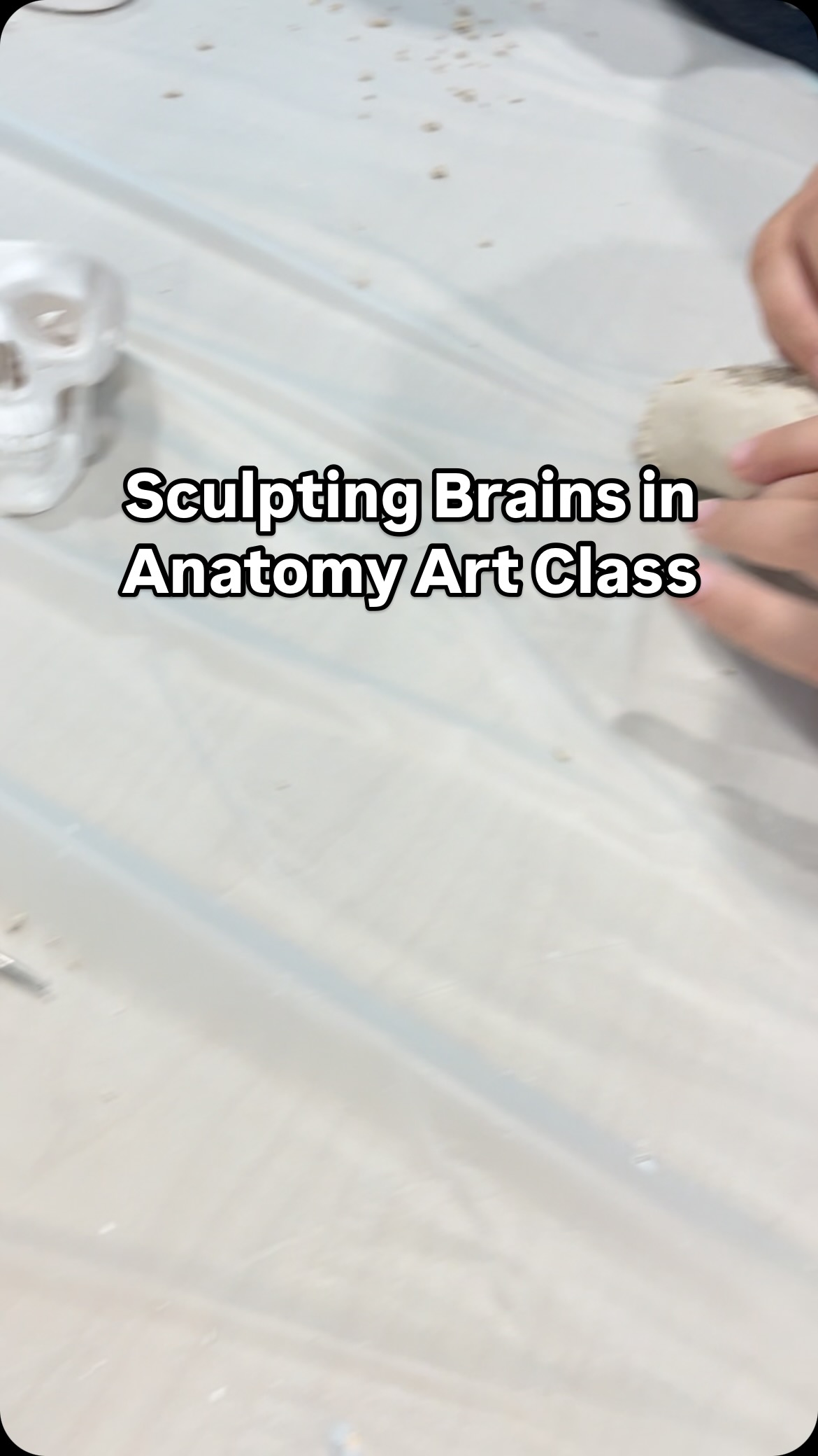 K-6th art classes taught by a professional anatomy artist! Registration open for summer. Link in bio. #summerartclass #arizonaartclass #anatomyart