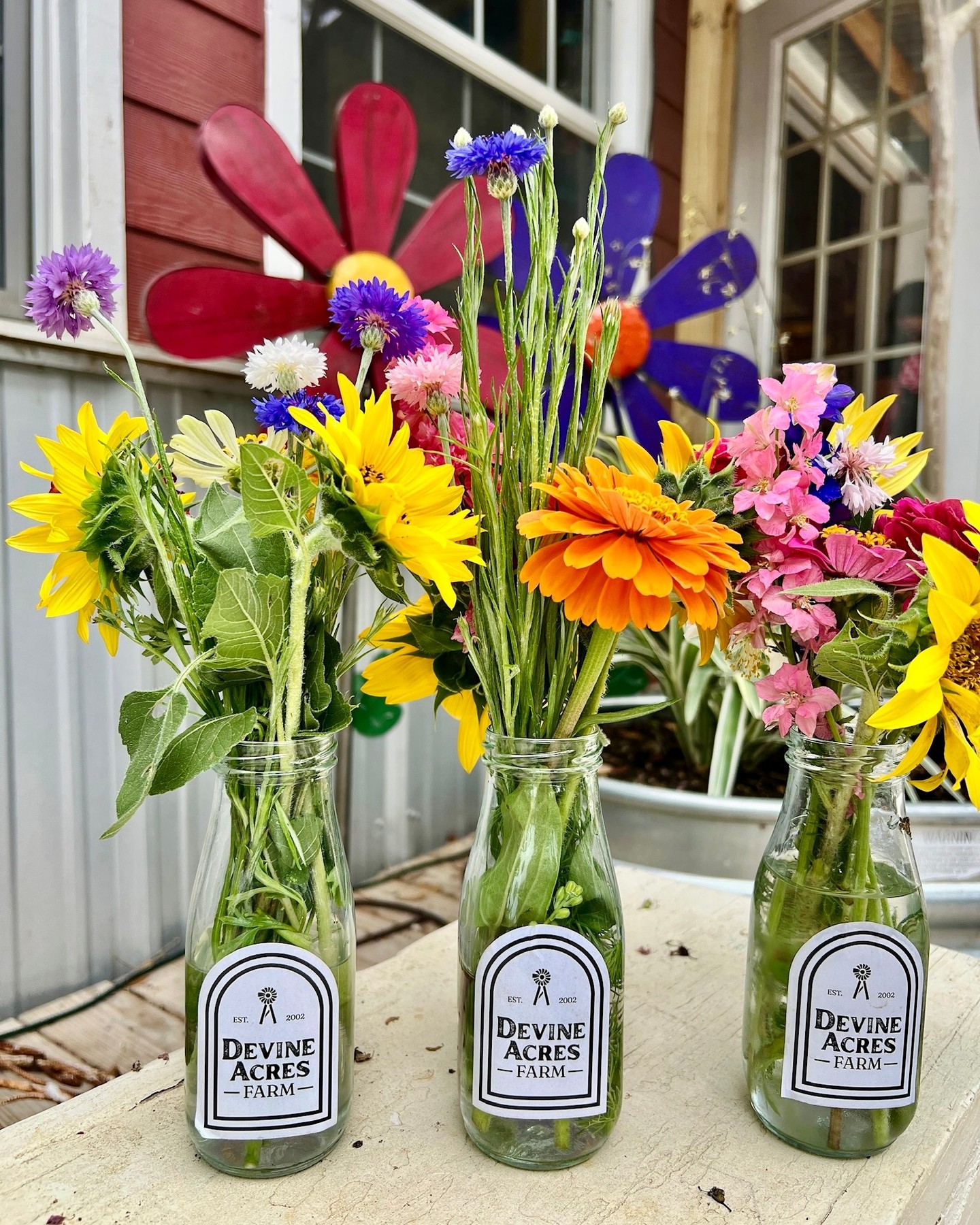 💐🚜🐥 Tomorrow! Head out to the farm for our Spring Homeschool Day & enjoy tons of play, you pick flowers, fun learning, baby animals, food & desserts, hayrides and more!
🎟️ Tickets will be sold at the gate only!
🕐 10am - 2pm (ticket sales open at 9am)
📍 944 FM 2200 W Devine, TX