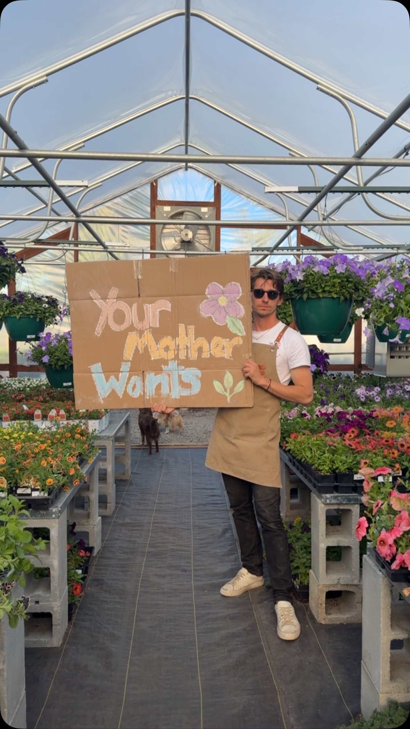PSA: Your mom called. She said she definitely wants flowers from Summit Sprouts for Mother’s Day. Locally owned, and everything—from hanging baskets to annuals and veggies—is grown right here on-site. We don’t make the rules—we just grow the blooms!
#summitsprouts #mothersday #moms #flowerbaskets #grownlocal #nursery #plants