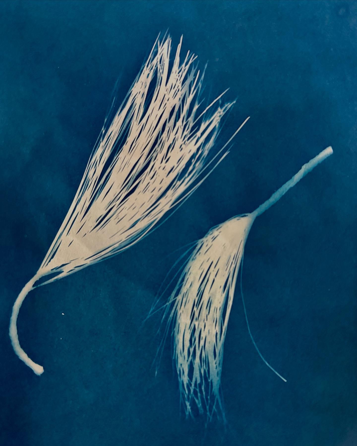 Sun prints I did using natural materials I’ve collected.
#art #artist #nature #print #cyanotype #natural #blue #sunprint #artwork #sun