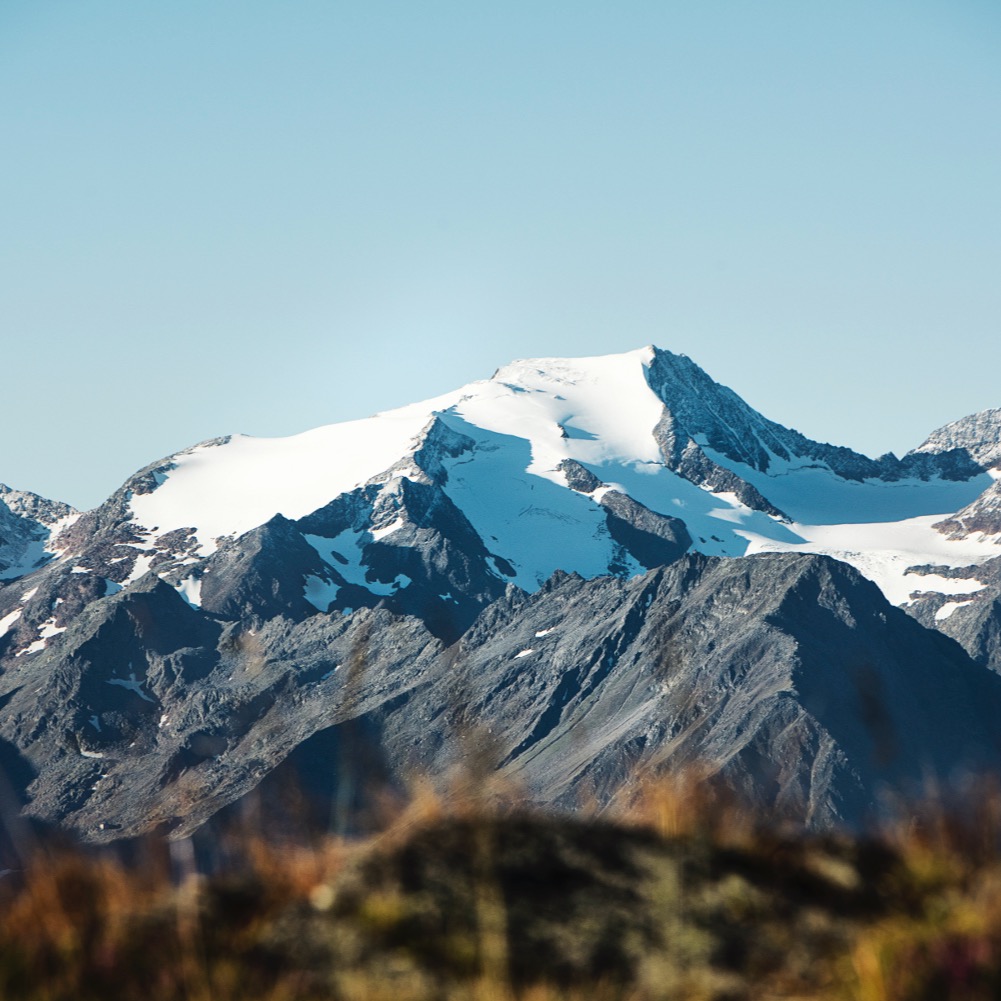 Majestätisch. Eisig. Unvergesslich. ❄️
Der Wilde Freiger – einer der Seven Summits Stubai und ein echtes Highlight für ambitionierte Bergsteiger und Gipfelträumer.
Ein Blick, der bleibt. Ein Ziel, das bewegt.
🗻 3.418 m Höhe
🥾 Anspruchsvolle Hochtour
📍 Direkt vom Stubaital erreichbar
#stubaital #wilderfreiger #sevensummitsstubai #lärchenlodge #bergabenteuer #hochtour #gipfelglück #mountainmagic