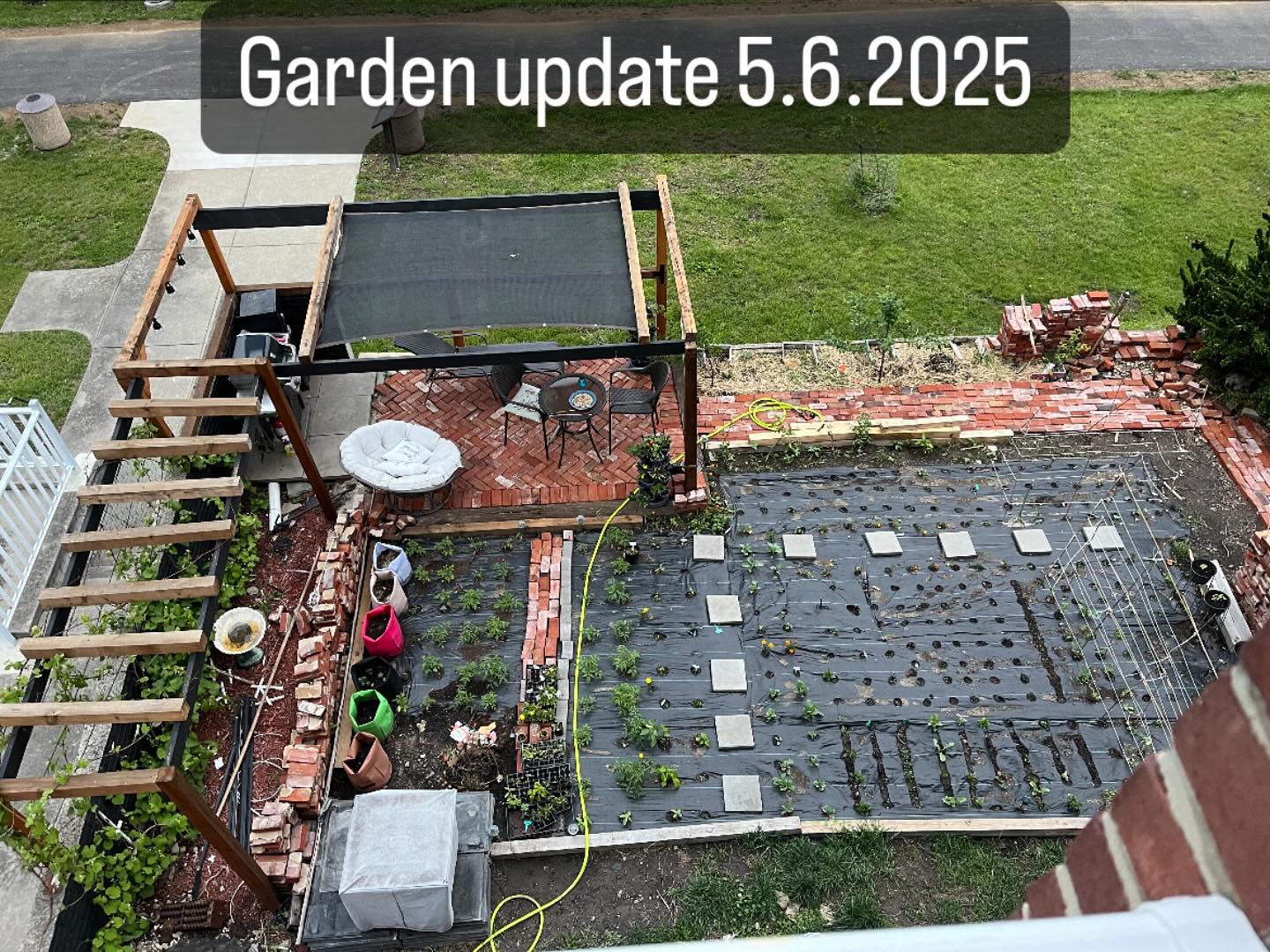 #gardening #diy #tomatoes #pergola #outdoorlife #sun #rainyday #flowers #vegetables