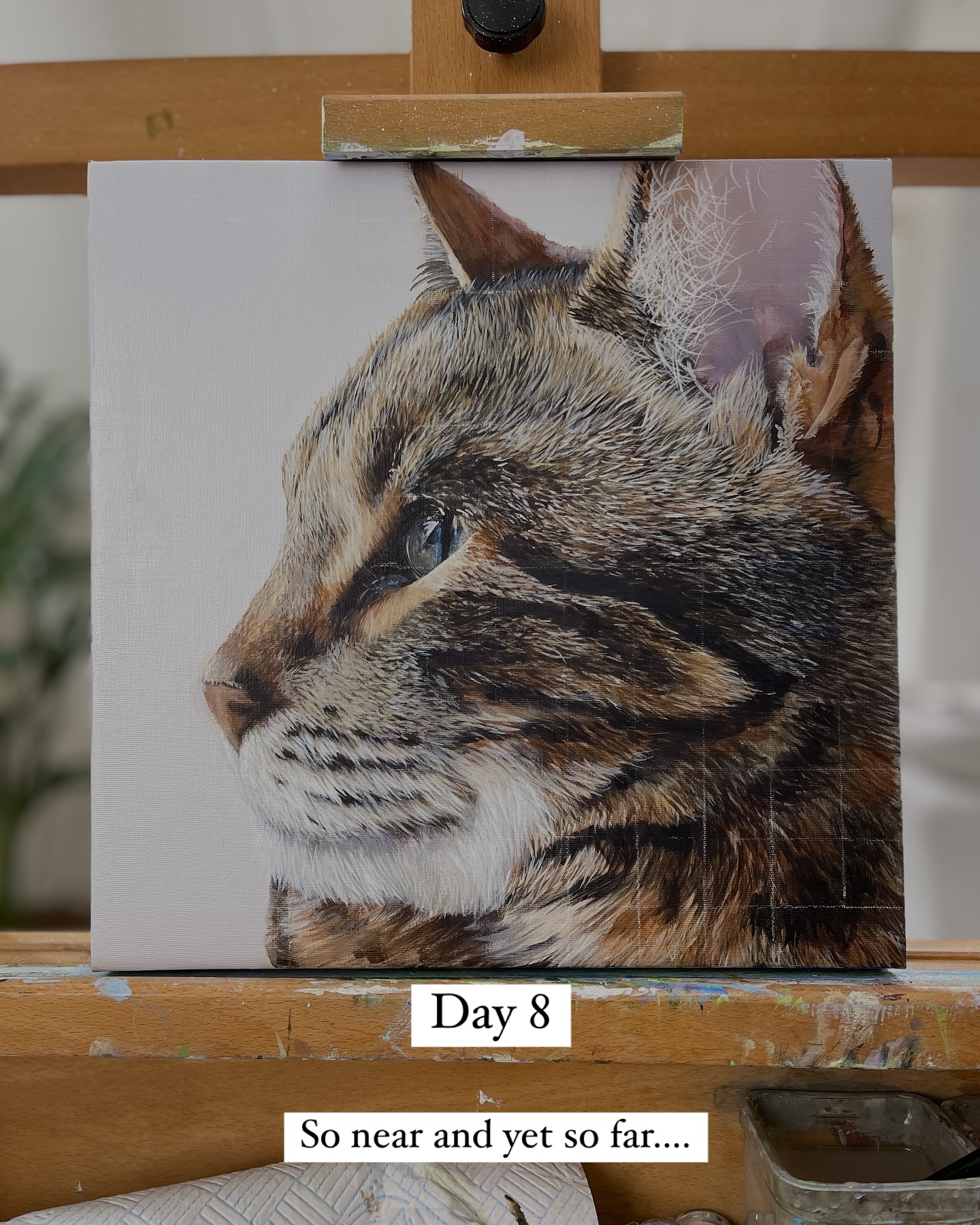 Had really hoped to finish this today…. Almost there but not quite.
Do you think I will finish it tomorrow? 🤷