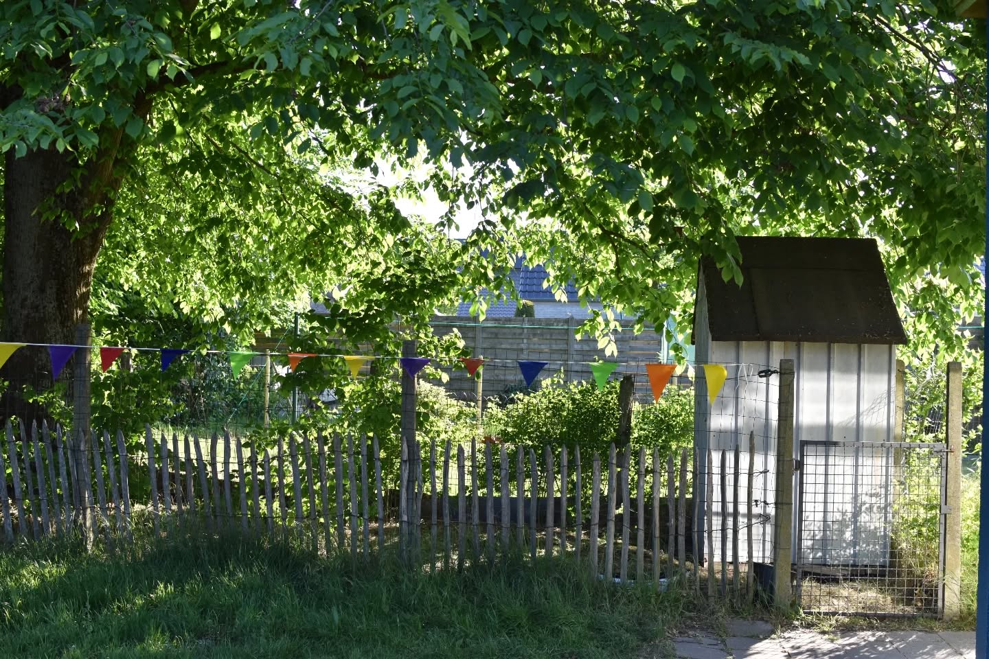 Groot nieuws! We hebben nieuwe bewoners op onze school: 3 kippen! 🐔
Hebben jullie een leuke naam?