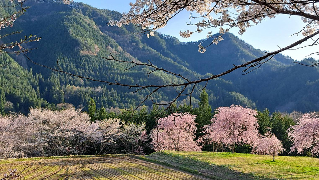 International ceramic courses for 2025 and 2026
https://chisatokuroki.com/so/6cPQG8GpU?languageTag=en