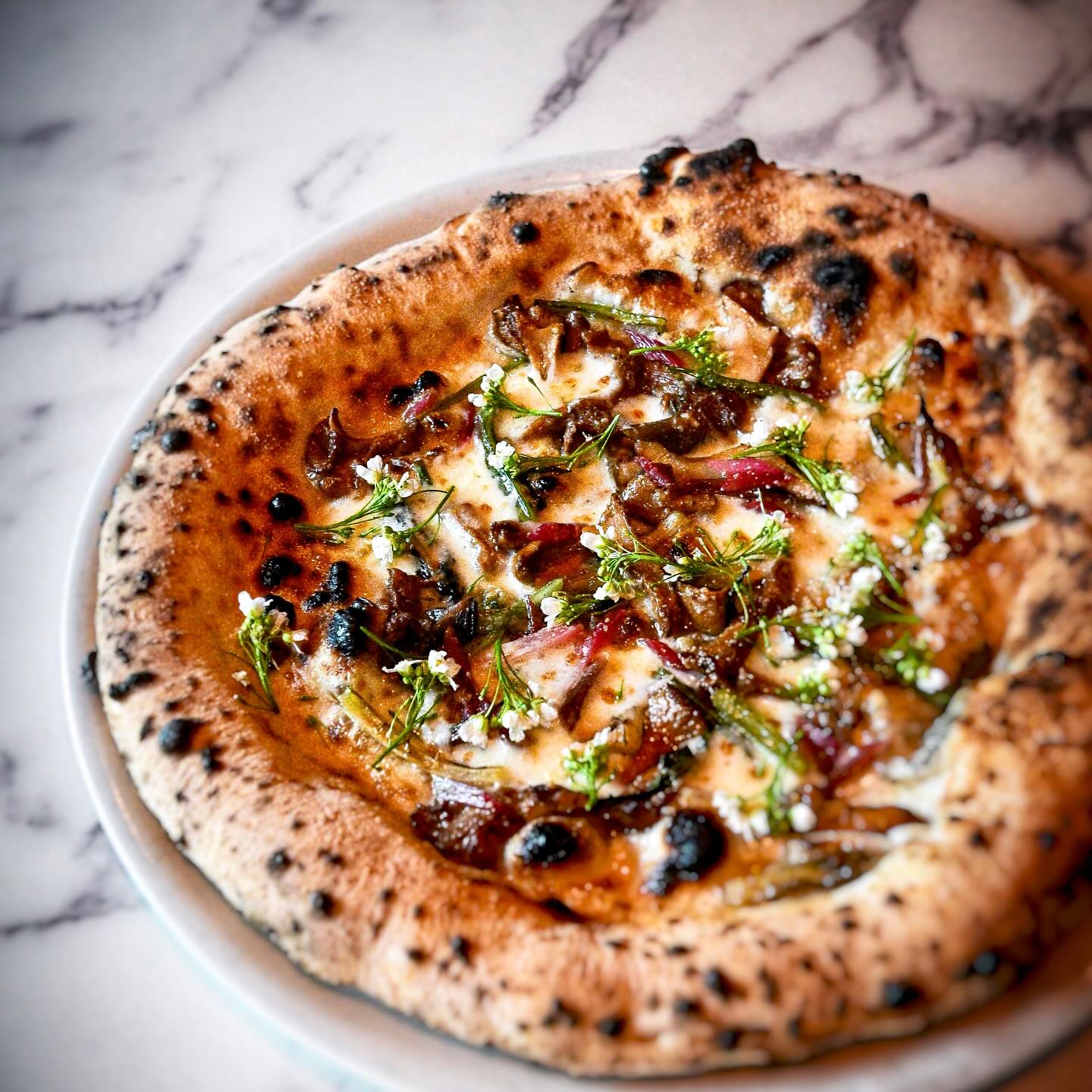 Chanterelles | spring onion | pickled ramps |horseradish flower